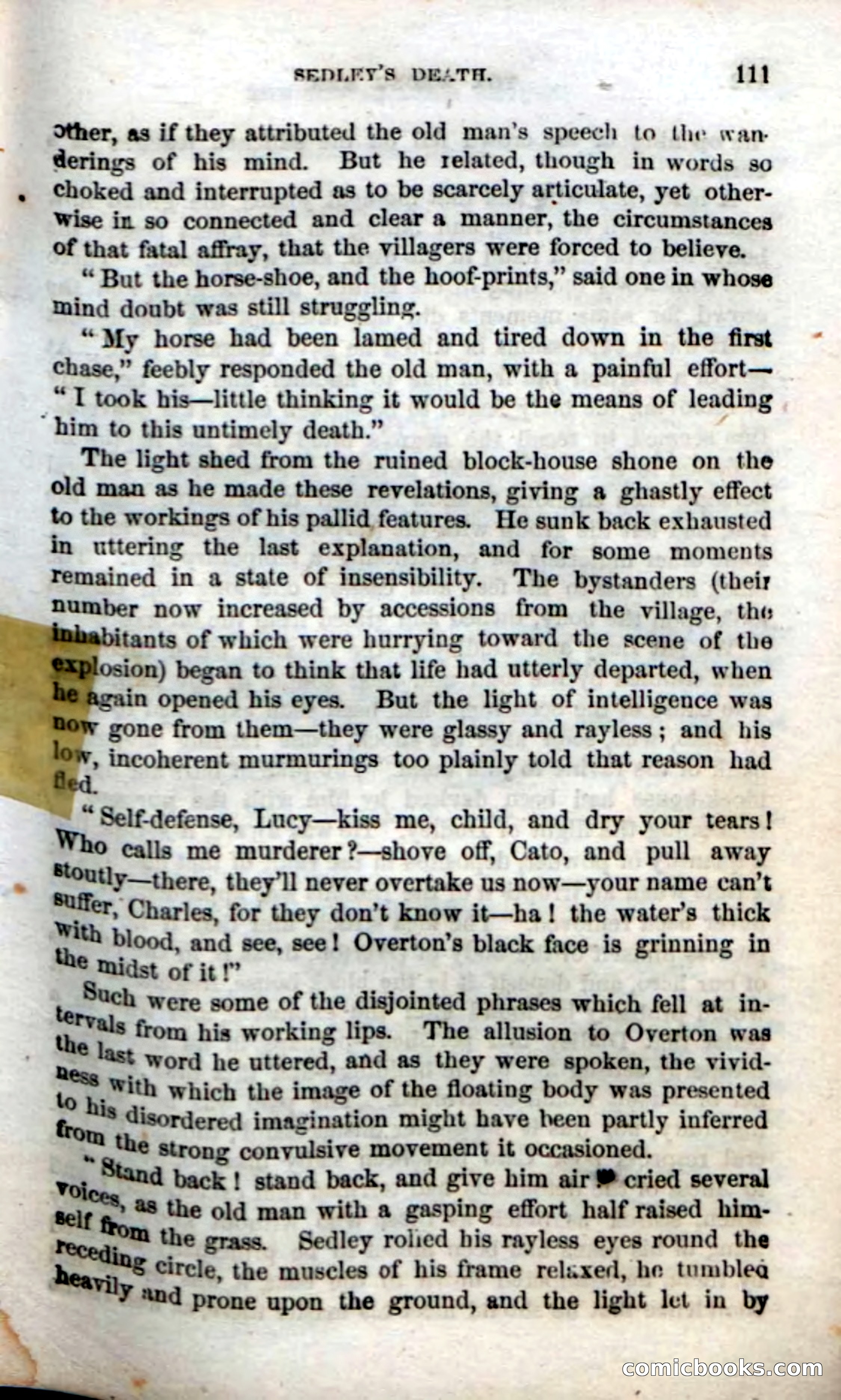 Beadle's Dime Novels No. 38: The Wrong Man — page 109 of 120