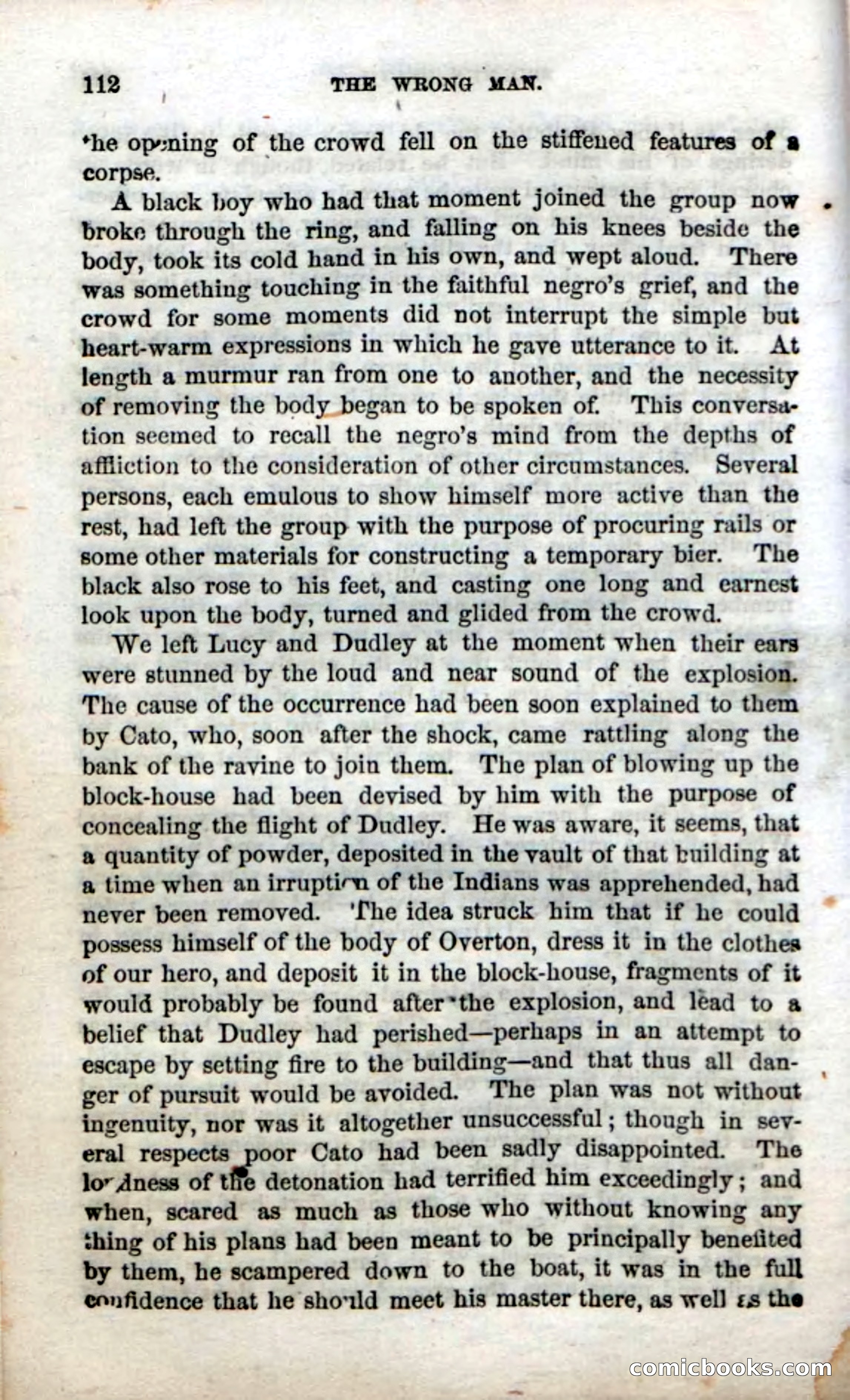 Beadle's Dime Novels No. 38: The Wrong Man — page 110 of 120