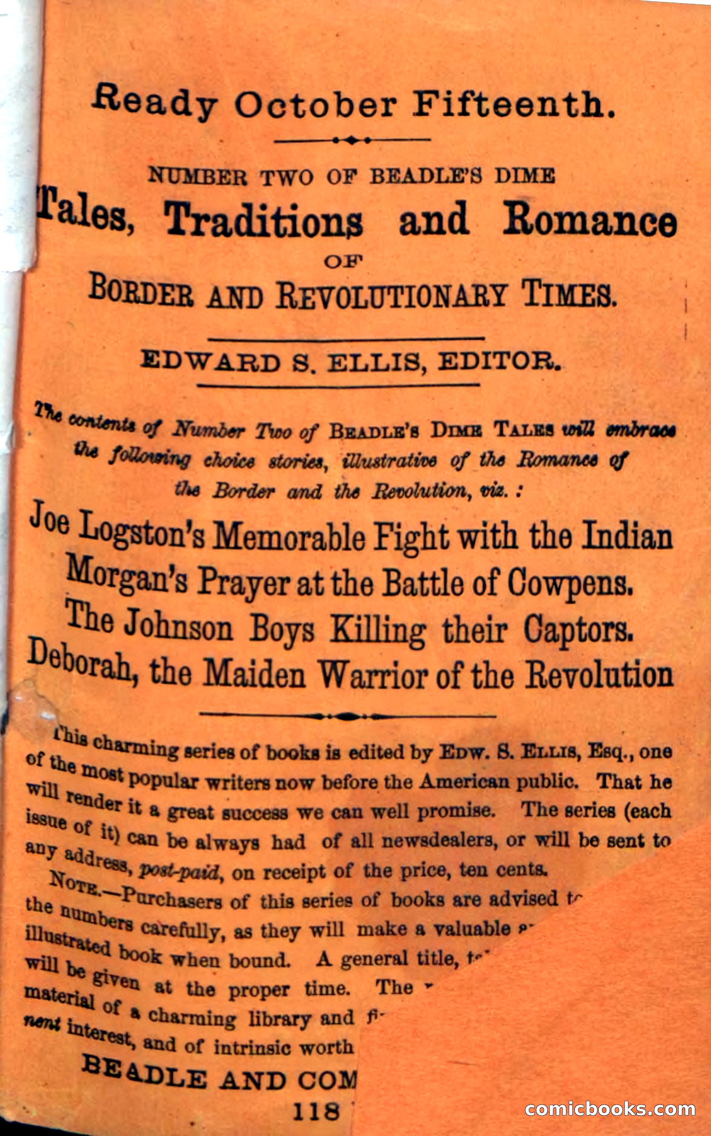 Beadle's Dime Novels No. 38: The Wrong Man — page 119 of 120
