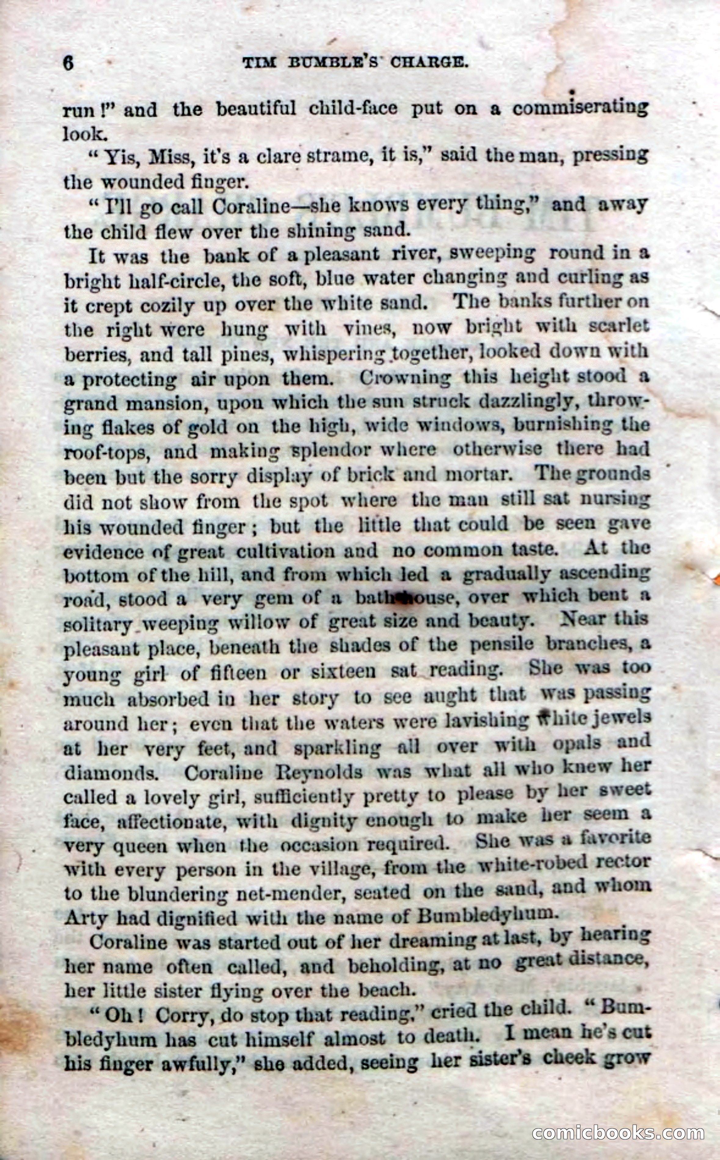 Beadle's Dime Novels No. 47: Tim Bumble's Charge — page 8 of 100