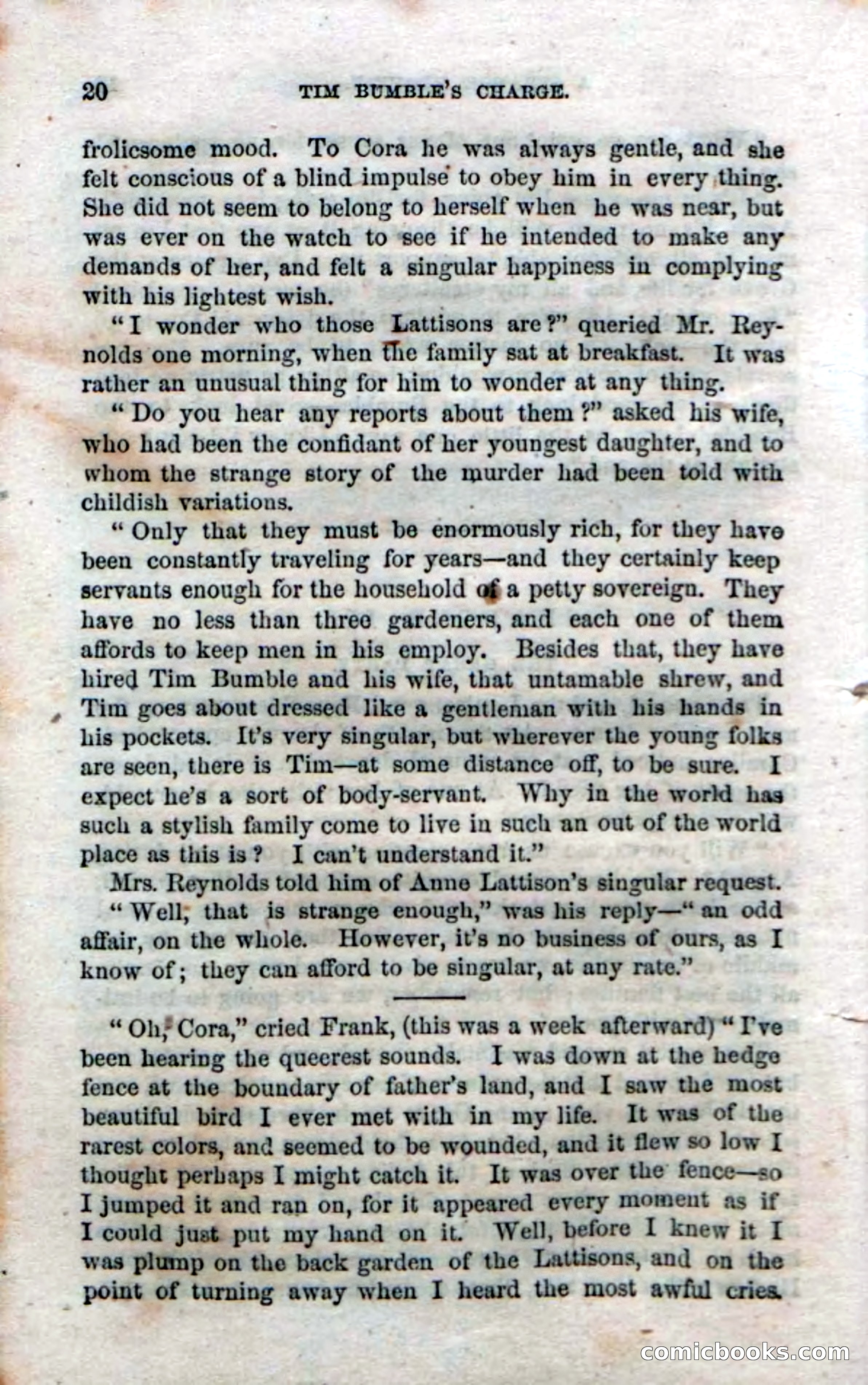 Beadle's Dime Novels No. 47: Tim Bumble's Charge — page 22 of 100