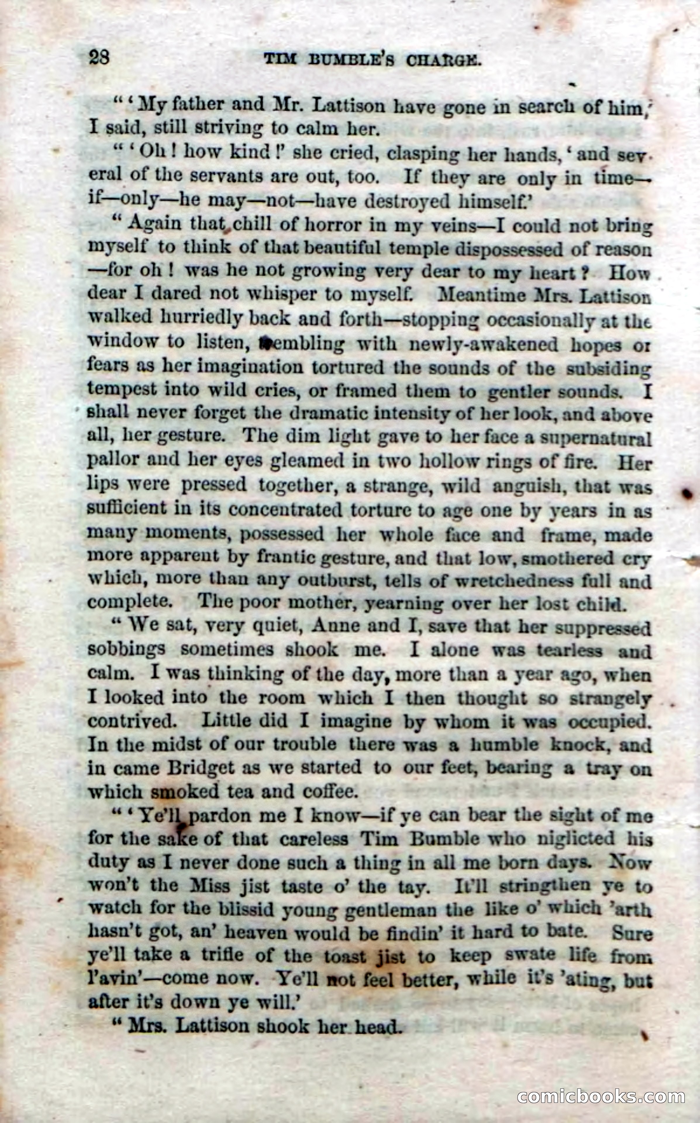 Beadle's Dime Novels No. 47: Tim Bumble's Charge — page 30 of 100