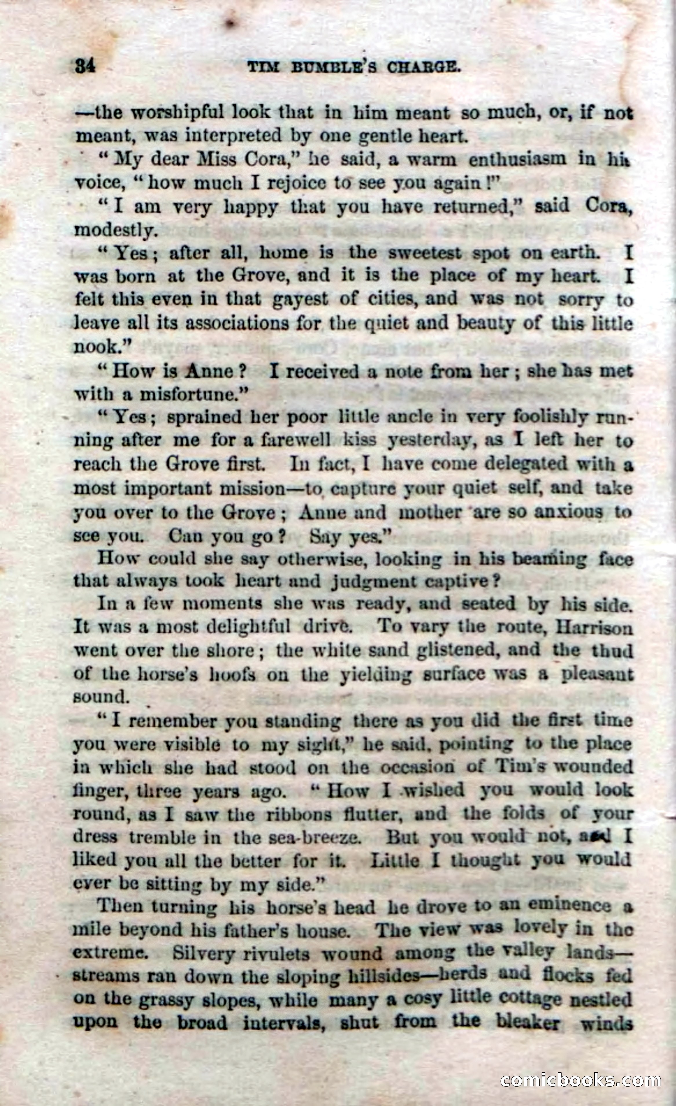 Beadle's Dime Novels No. 47: Tim Bumble's Charge — page 36 of 100