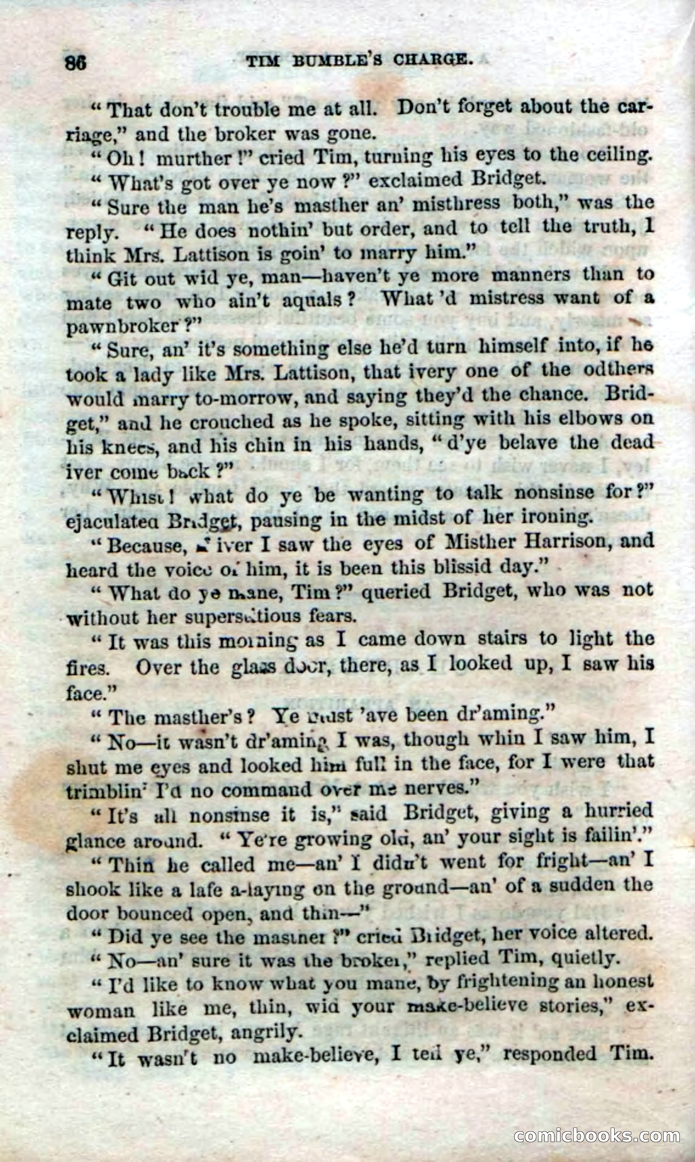 Beadle's Dime Novels No. 47: Tim Bumble's Charge — page 88 of 100