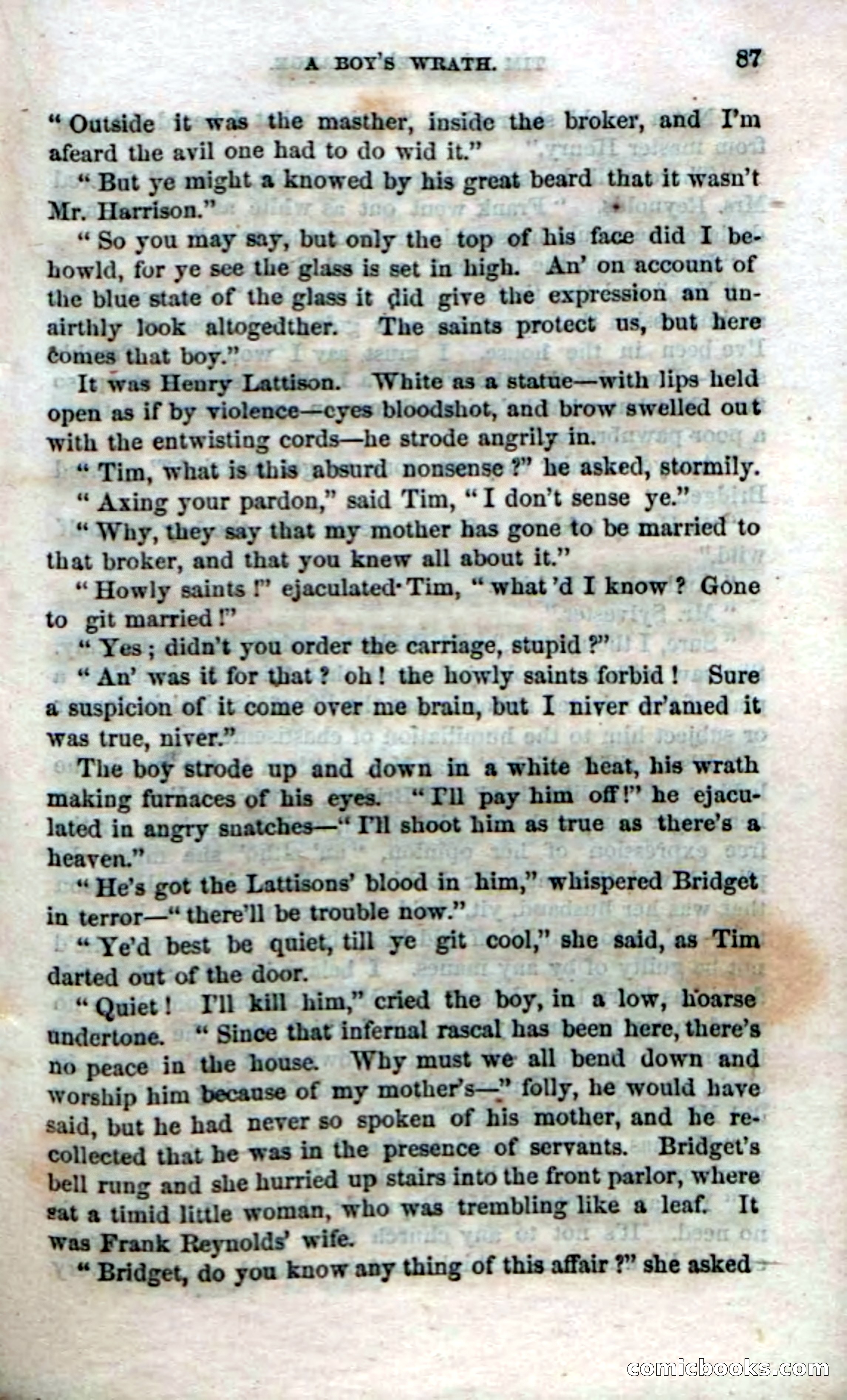 Beadle's Dime Novels No. 47: Tim Bumble's Charge — page 89 of 100