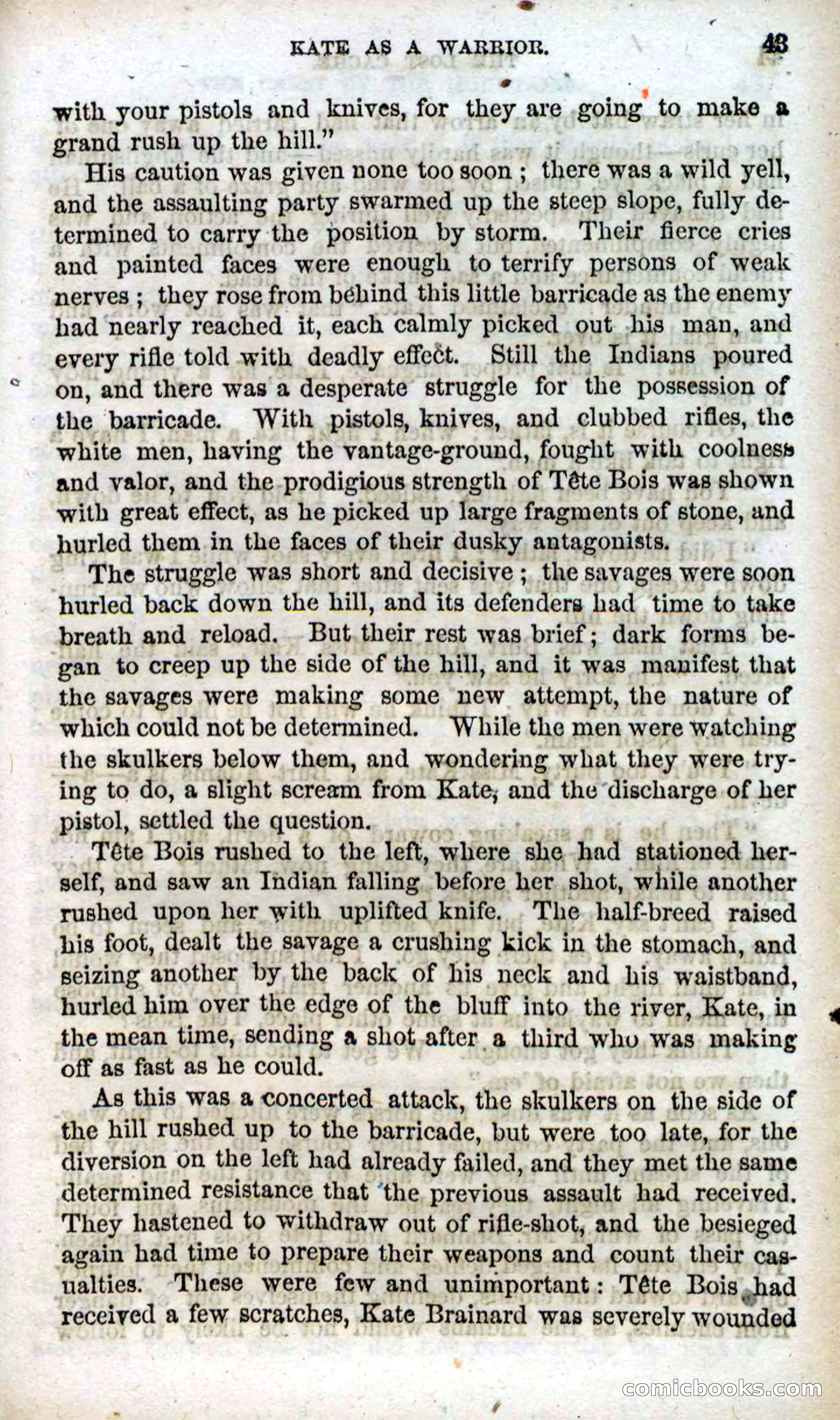 Beadle's Dime Novels, No. 91: The Lost Cache — page 41 of 100
