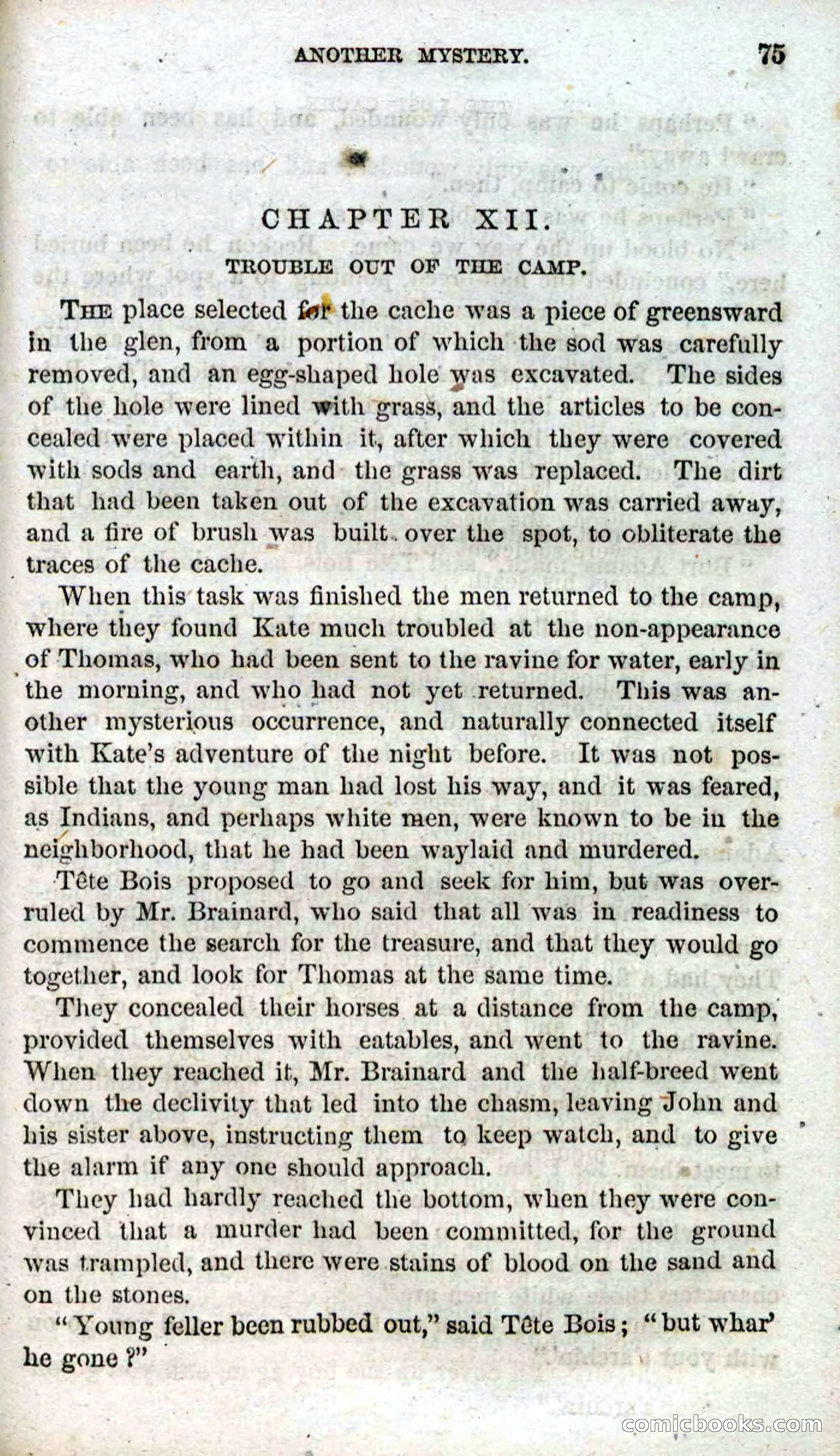 Beadle's Dime Novels, No. 91: The Lost Cache — page 73 of 100