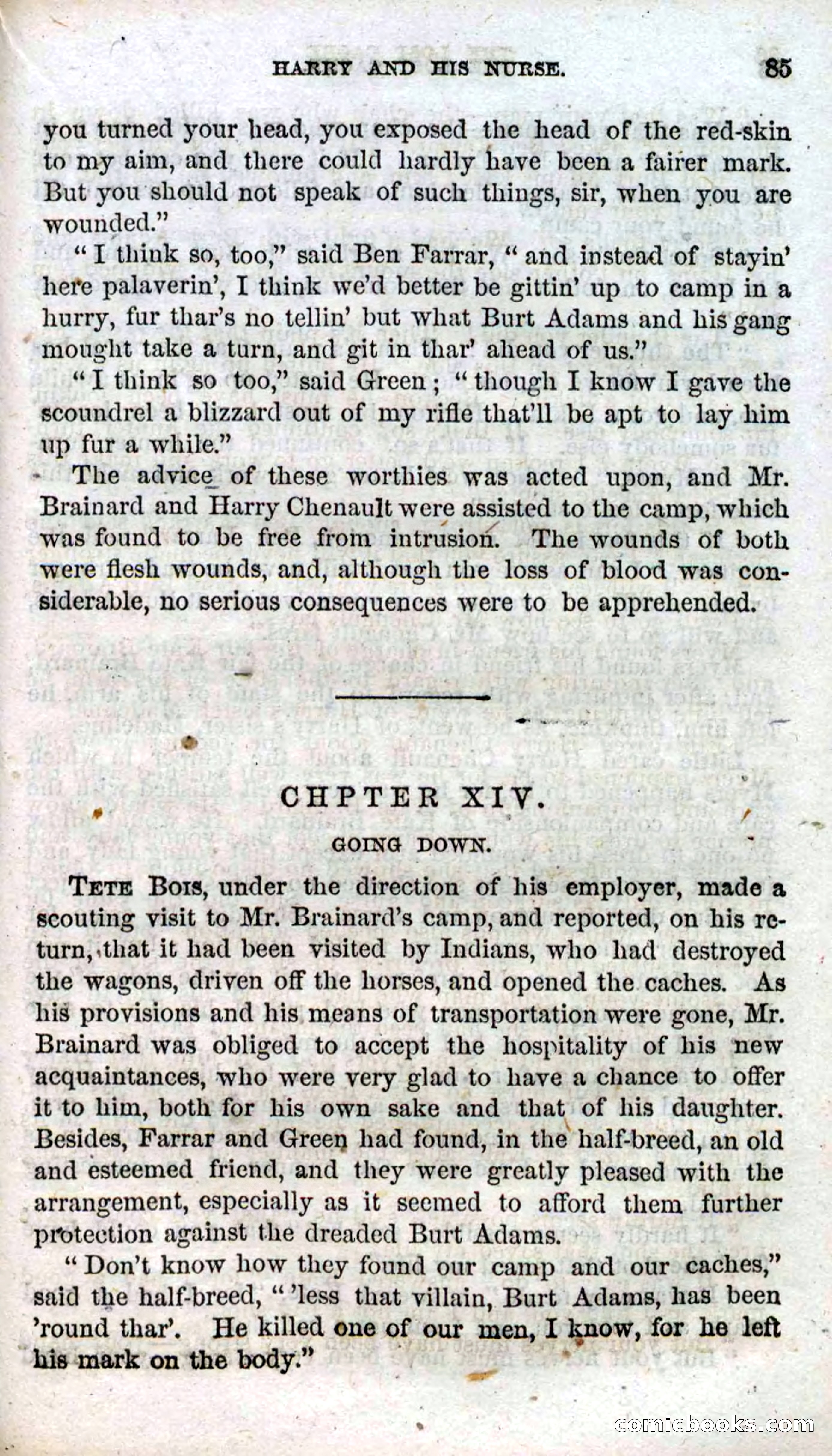 Beadle's Dime Novels, No. 91: The Lost Cache — page 83 of 100