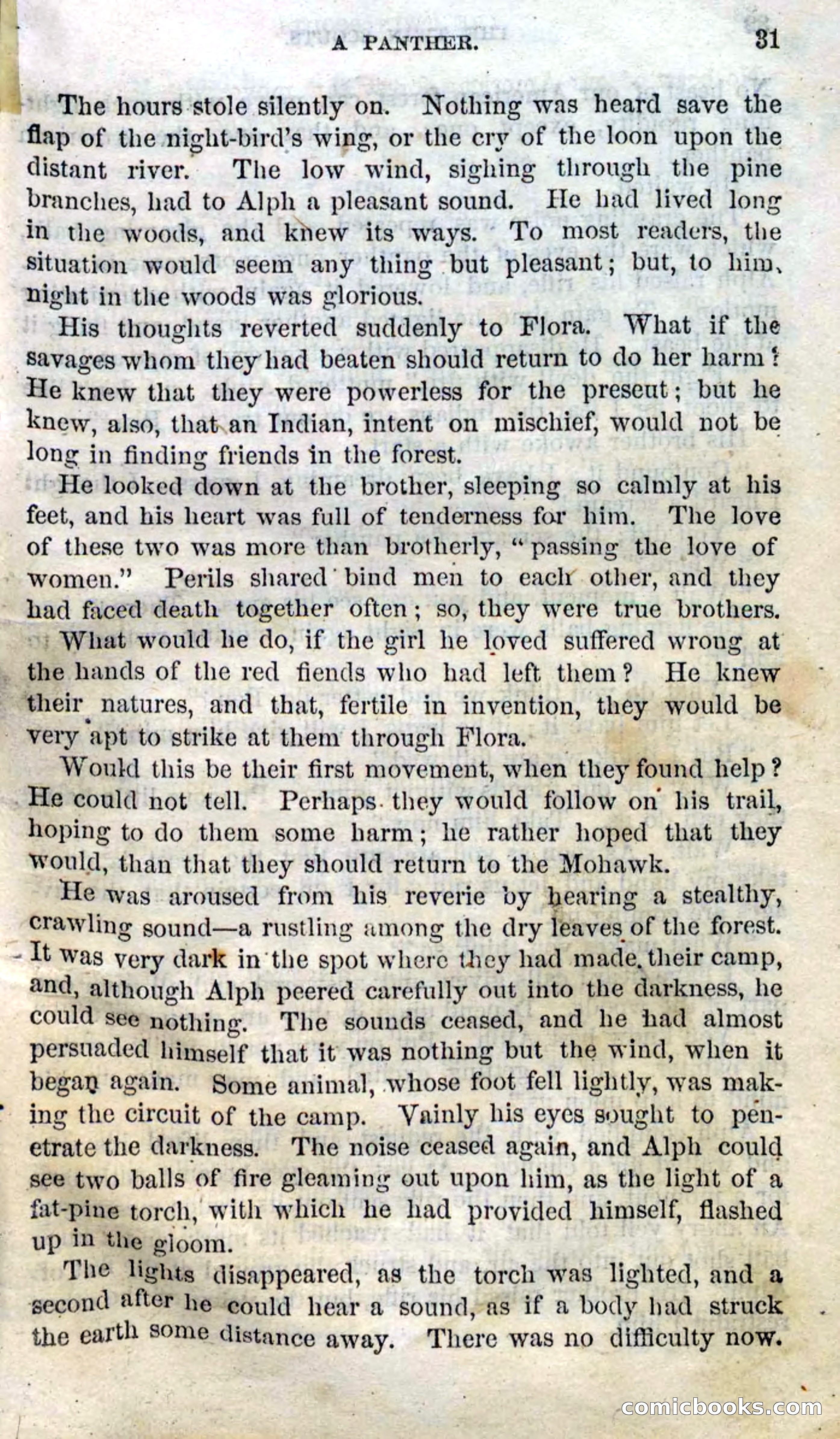 Beadle's Dime Novels No. 92: The Twin Scouts — page 29 of 98