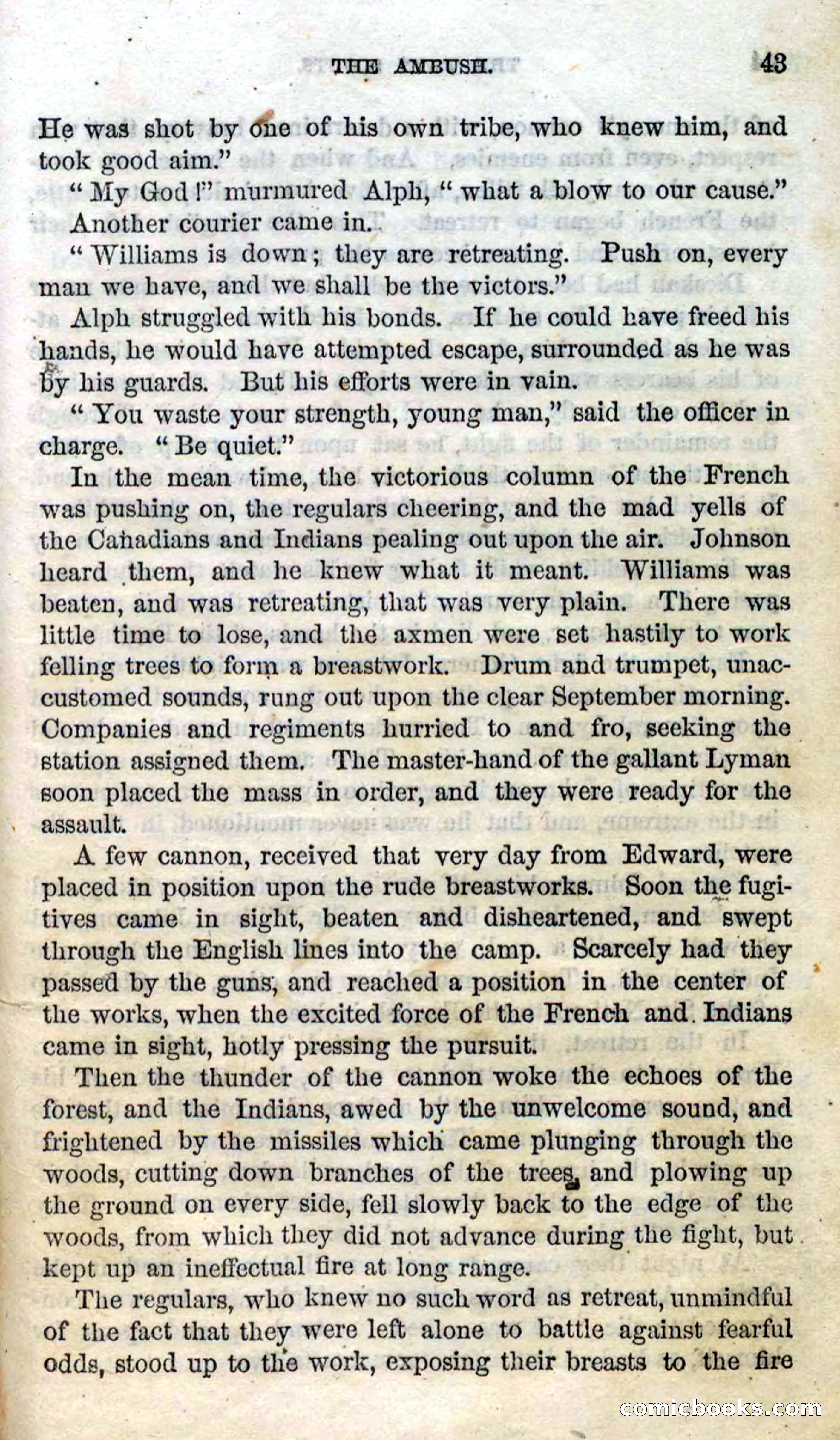 Beadle's Dime Novels No. 92: The Twin Scouts — page 41 of 98