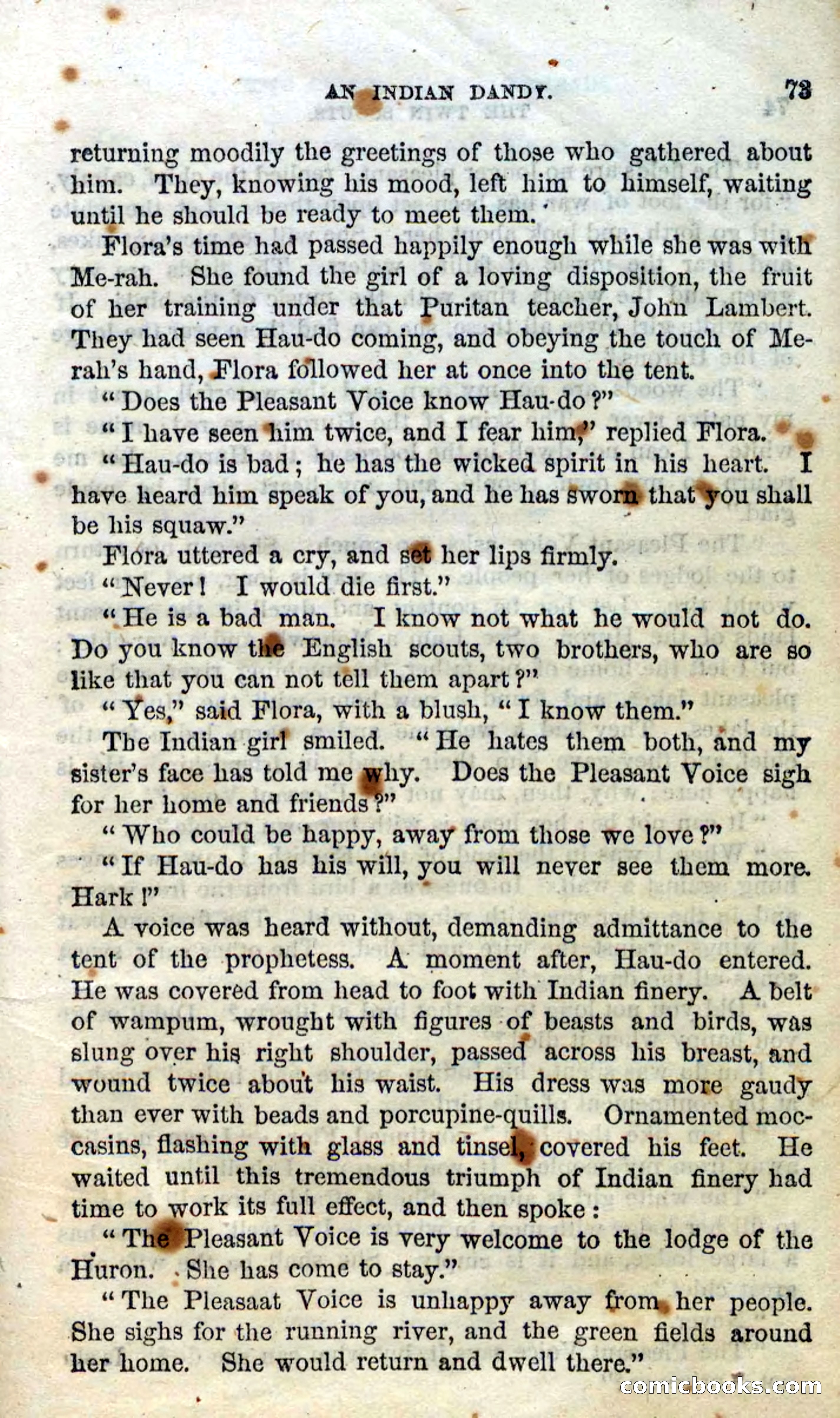 Beadle's Dime Novels No. 92: The Twin Scouts — page 71 of 98