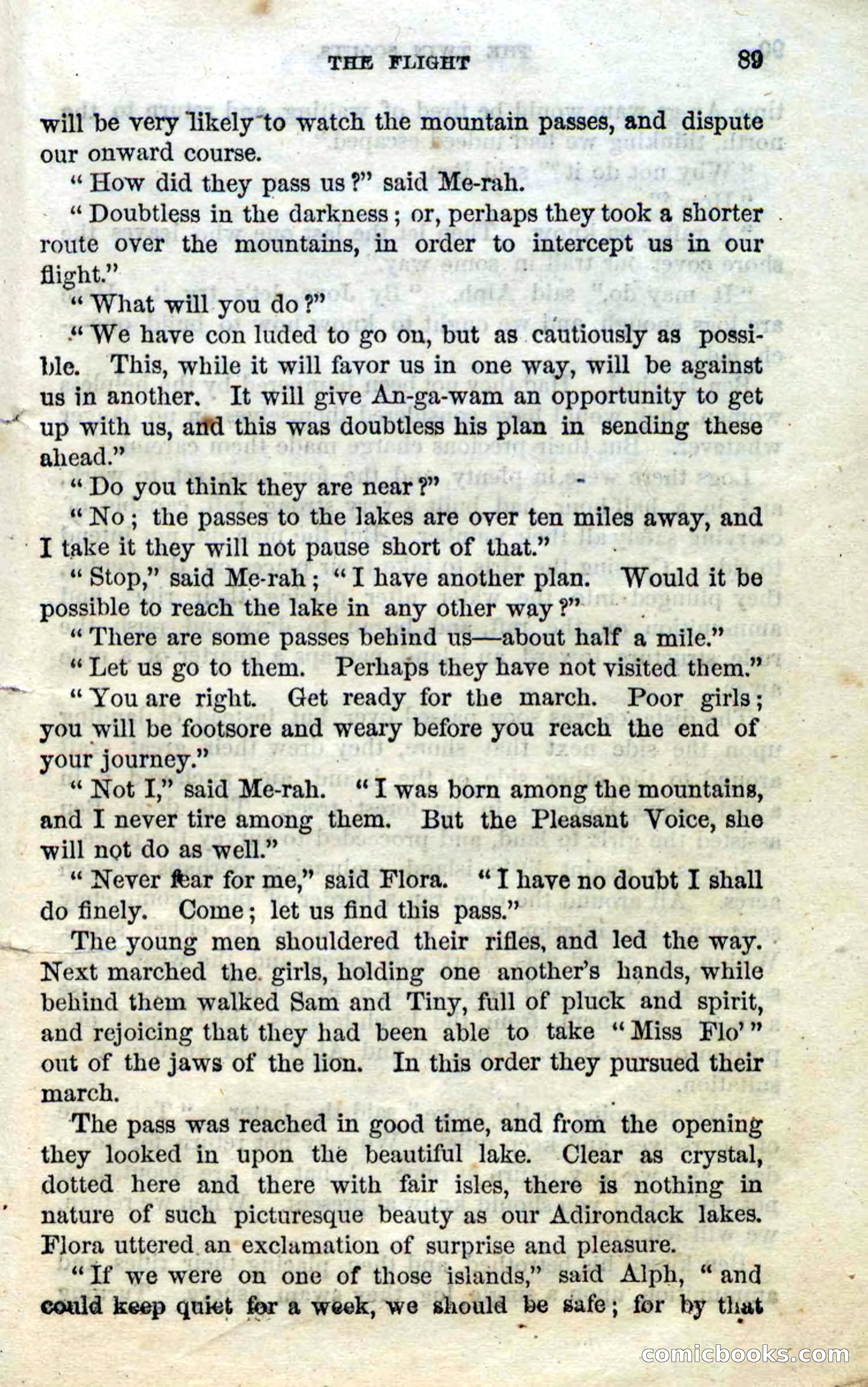 Beadle's Dime Novels No. 92: The Twin Scouts — page 87 of 98