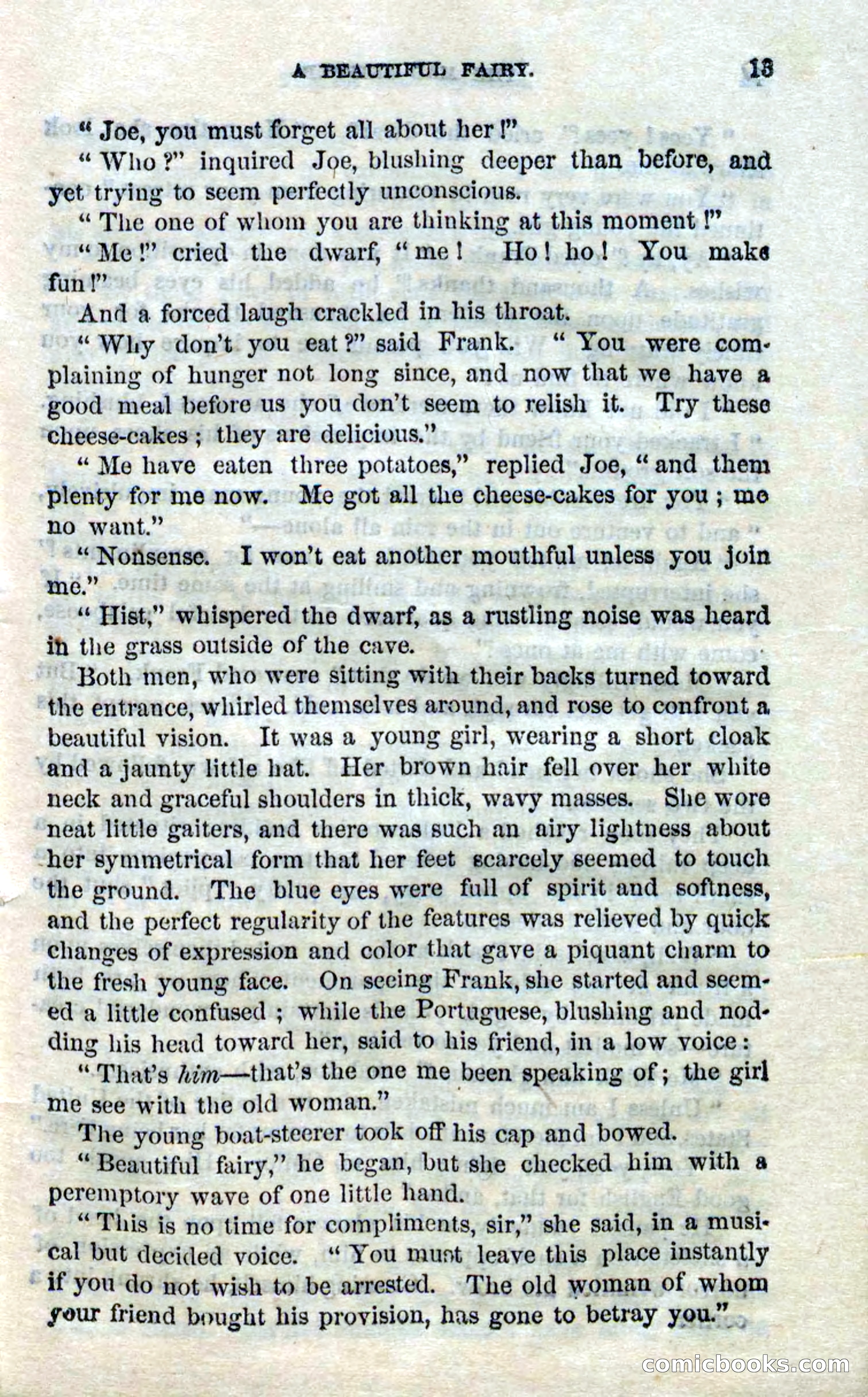 Beadle's Dime Novels No. 94: The Mad Skipper — page 11 of 100