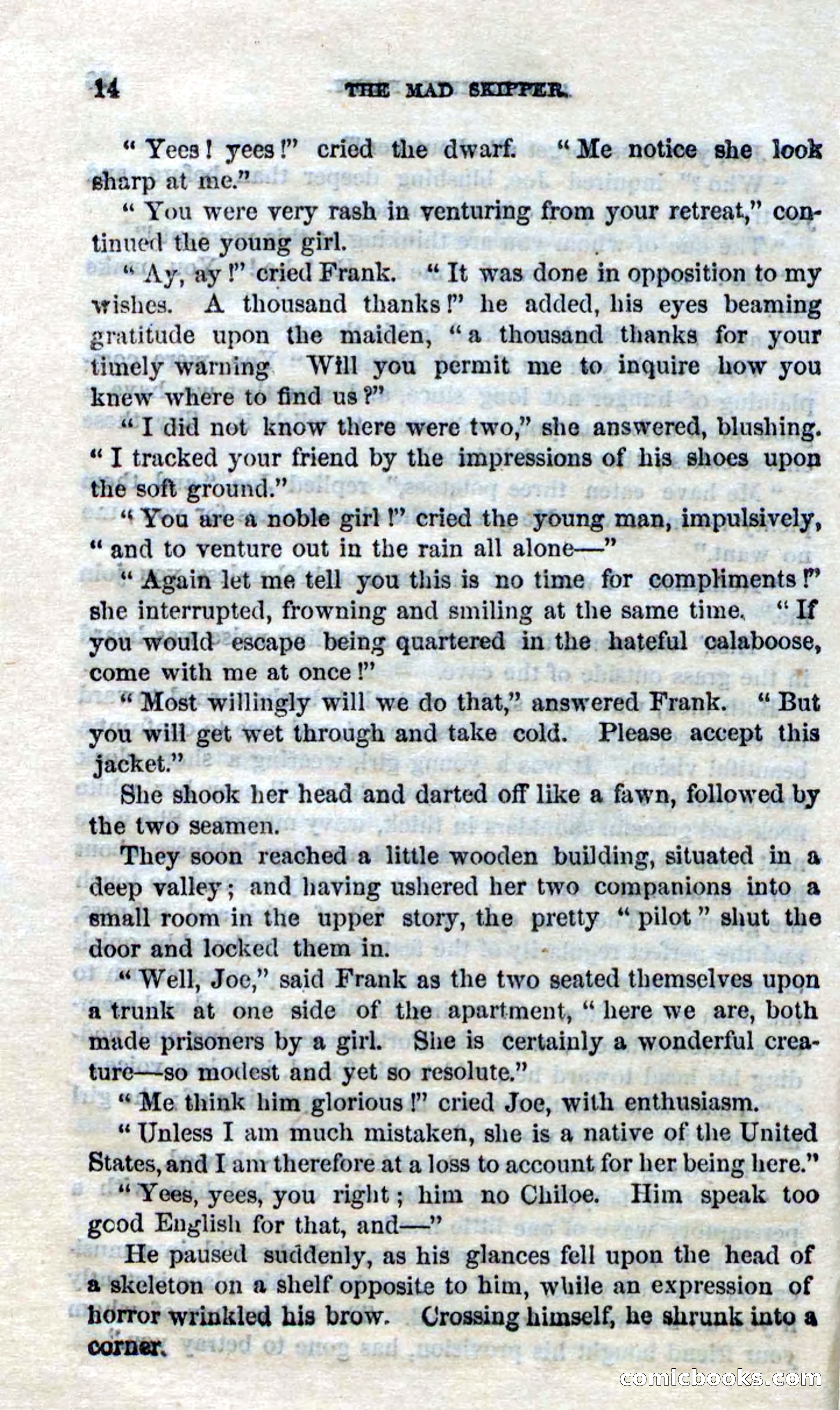 Beadle's Dime Novels No. 94: The Mad Skipper — page 12 of 100