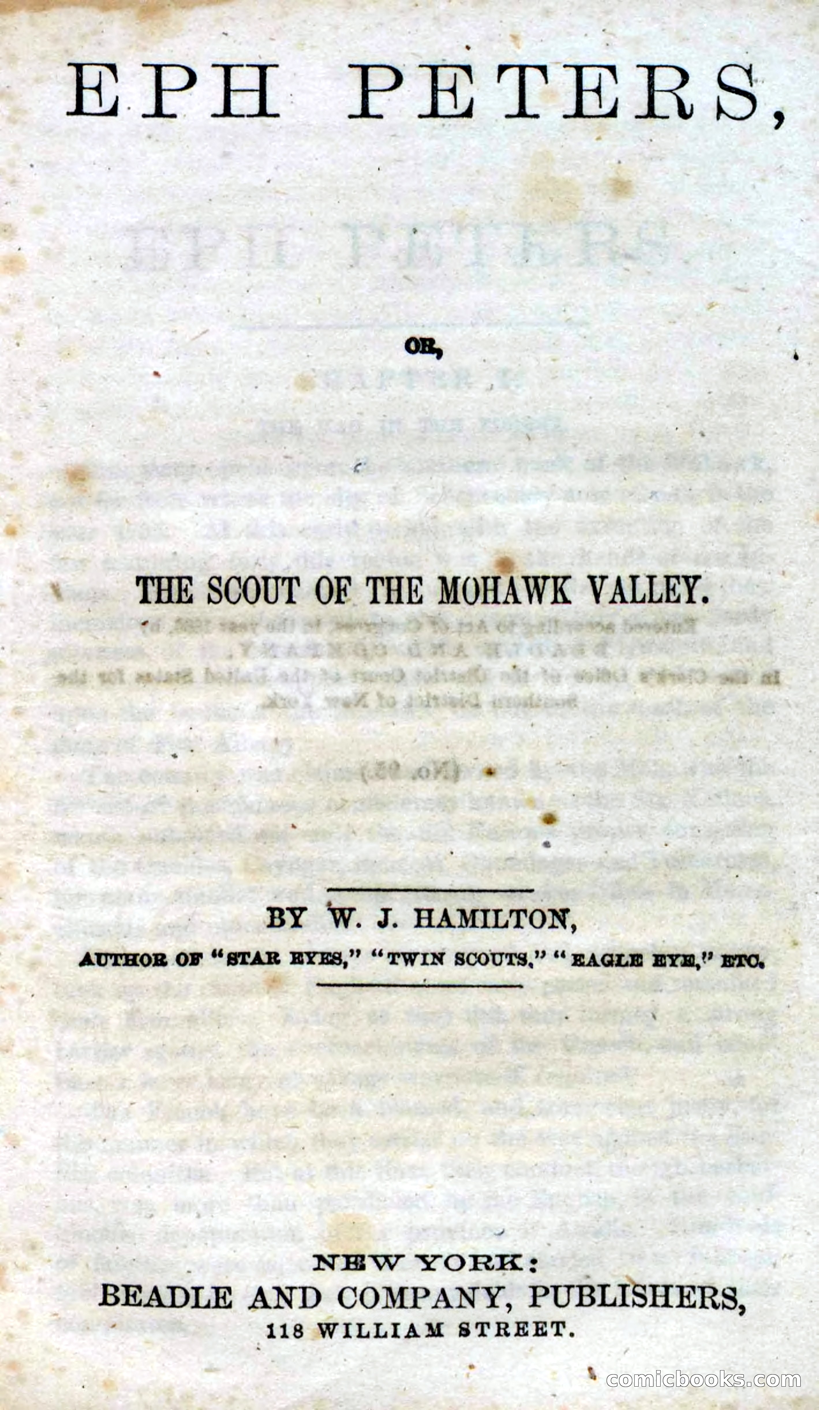 Beadle's Dime Novels No. 95 — page 5 of 102