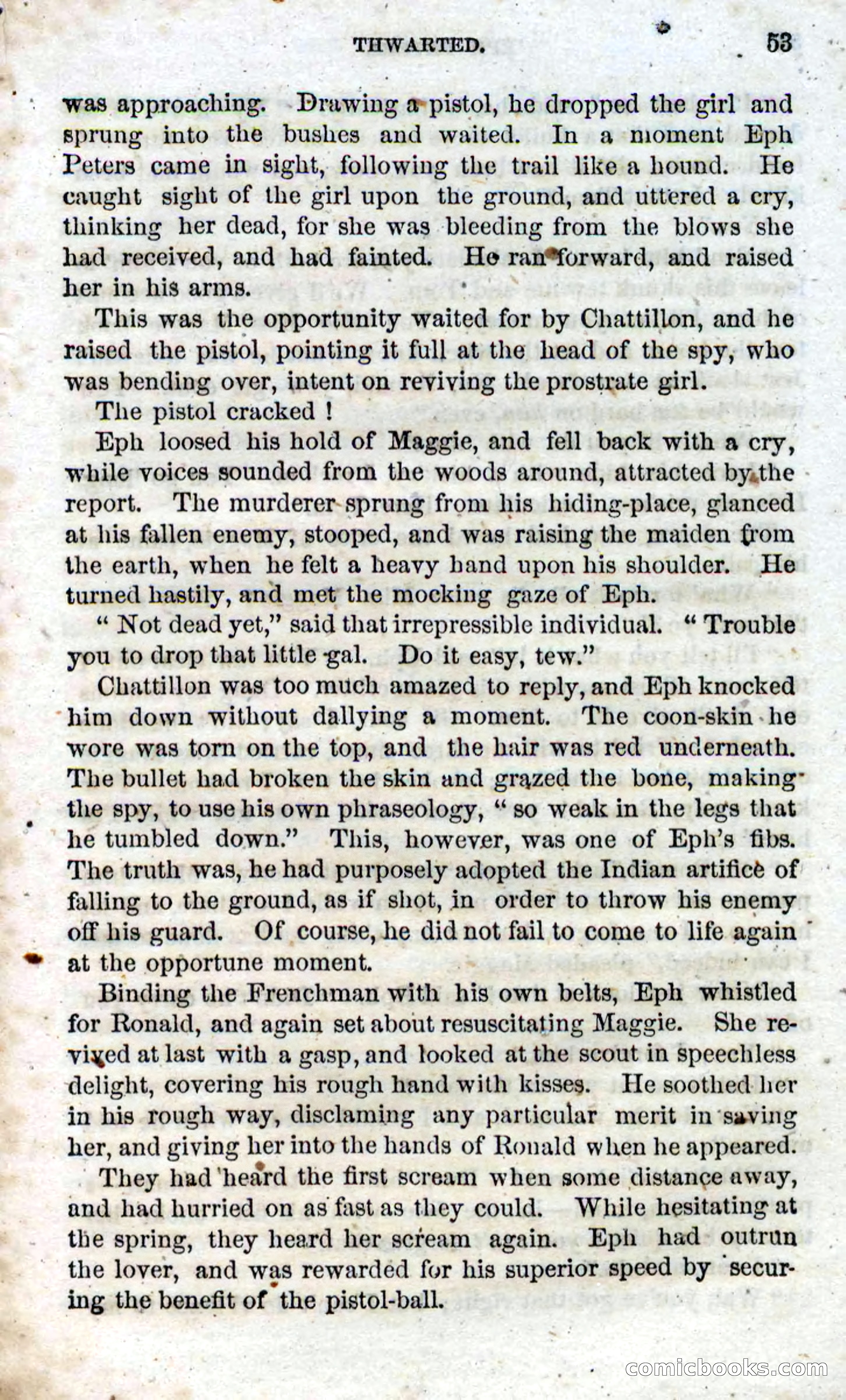 Beadle's Dime Novels No. 95 — page 51 of 102