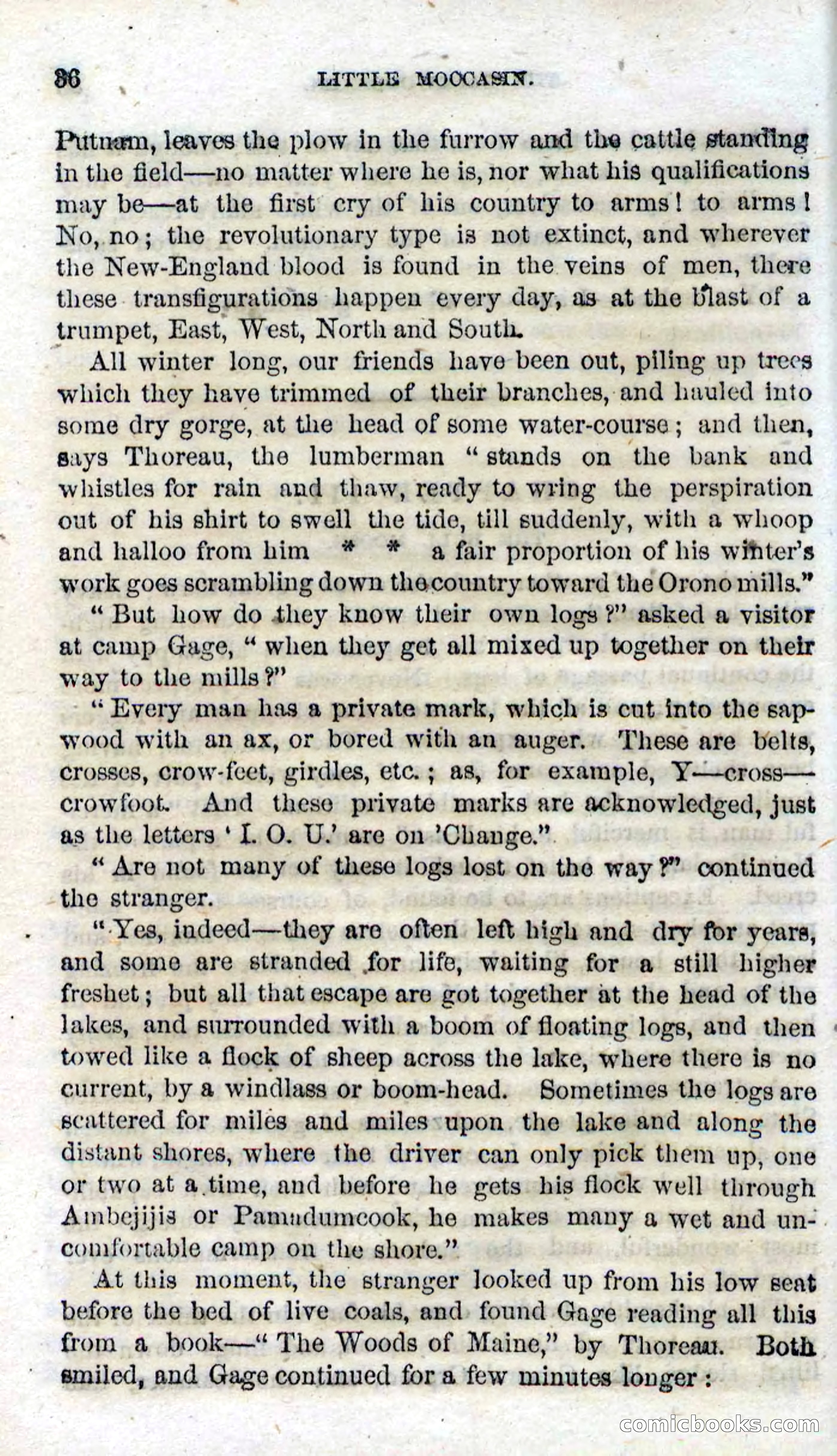 Beadle's Dime Novels No. 96: Little Moccasin — page 34 of 97