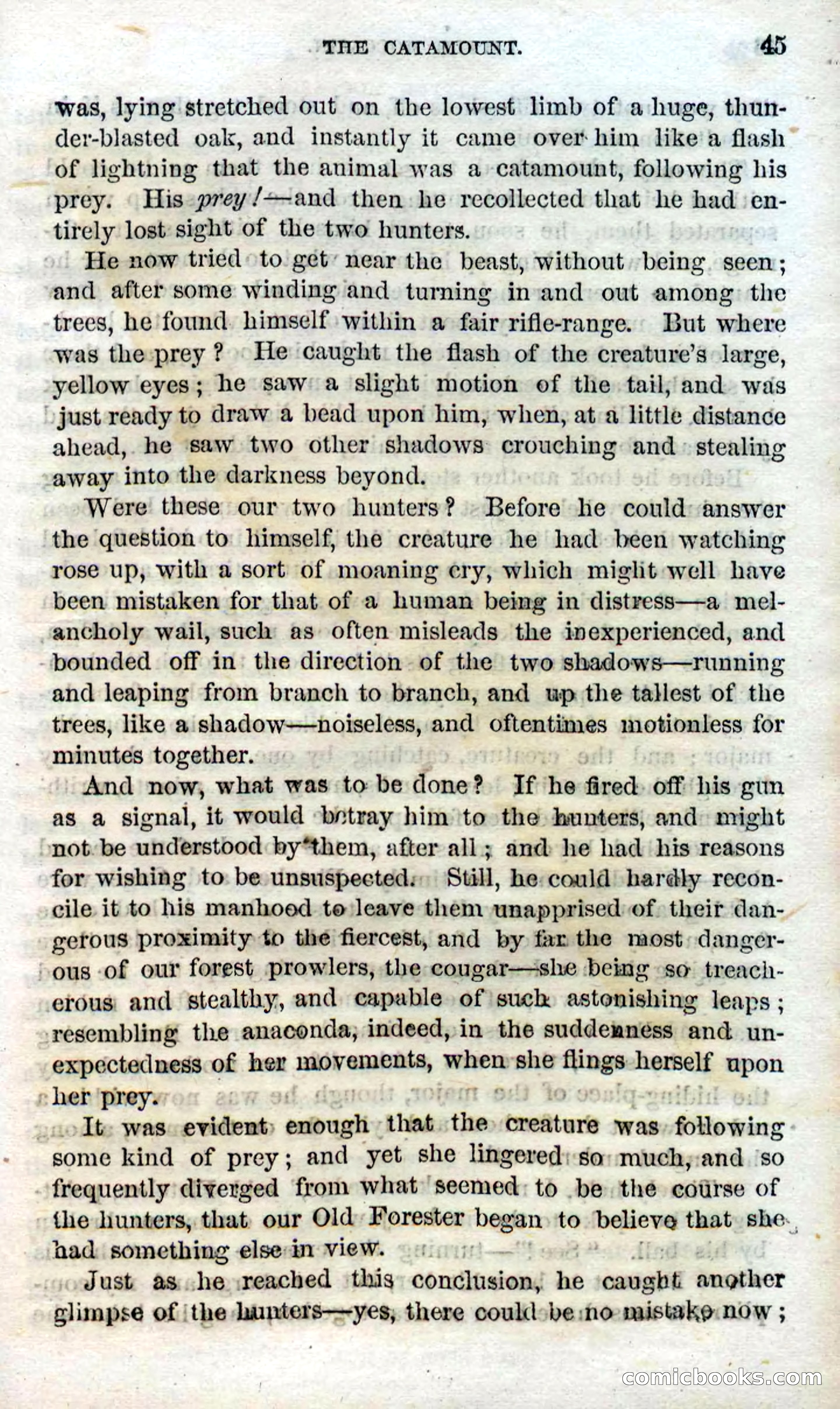 Beadle's Dime Novels No. 96: Little Moccasin — page 43 of 97