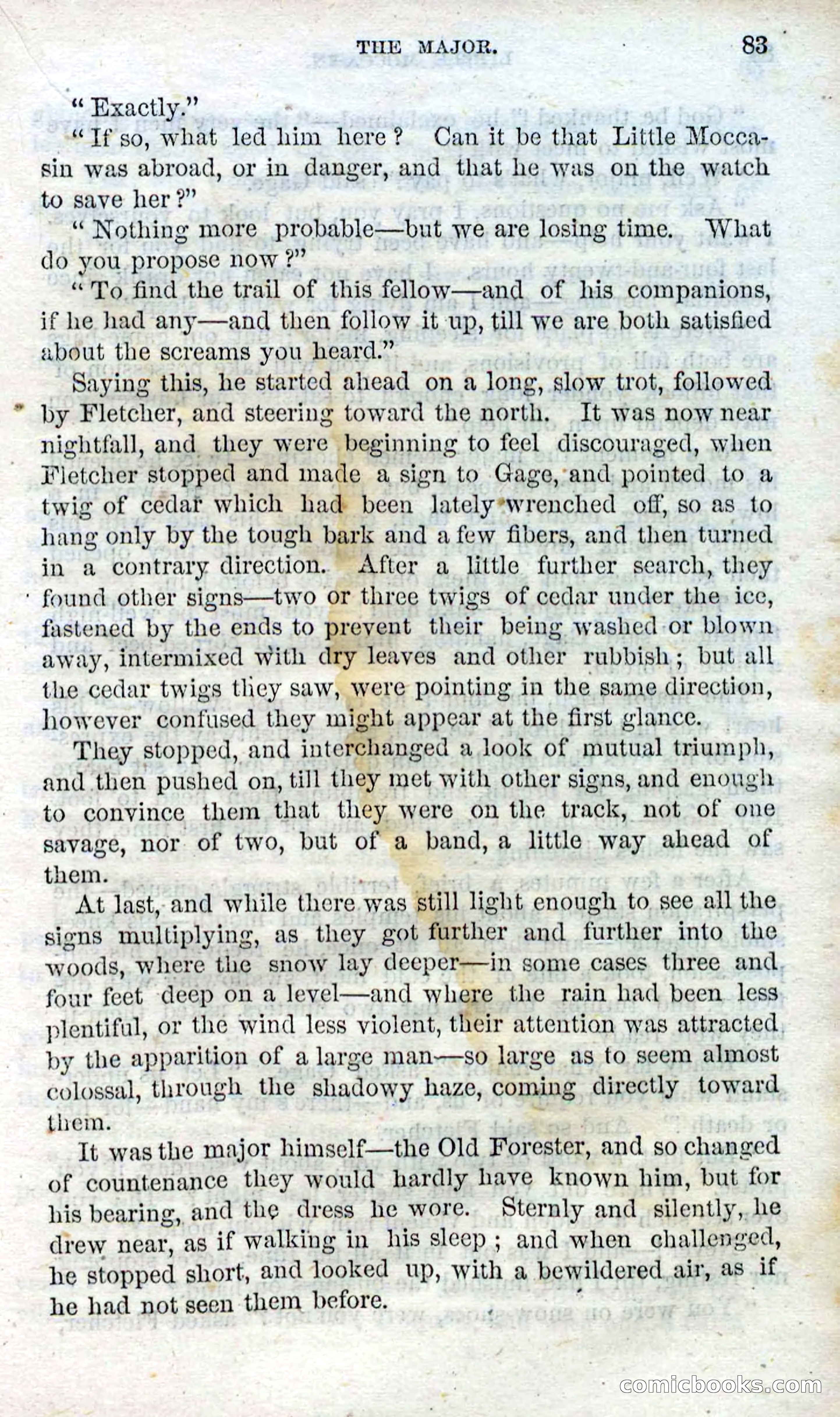 Beadle's Dime Novels No. 96: Little Moccasin — page 81 of 97