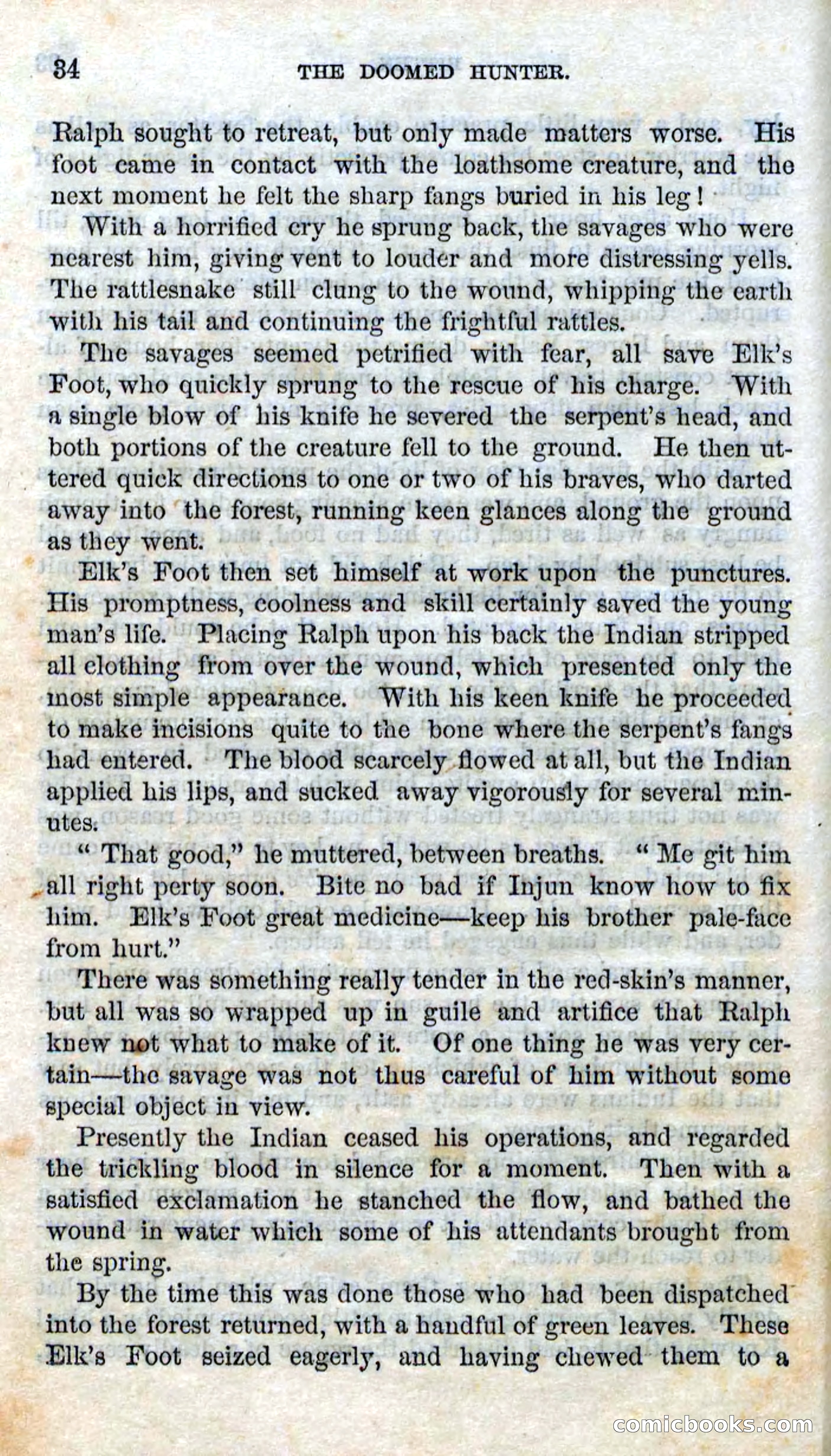 Beadle's Dime Novels No. 97: The Doomed Hunter — page 32 of 100