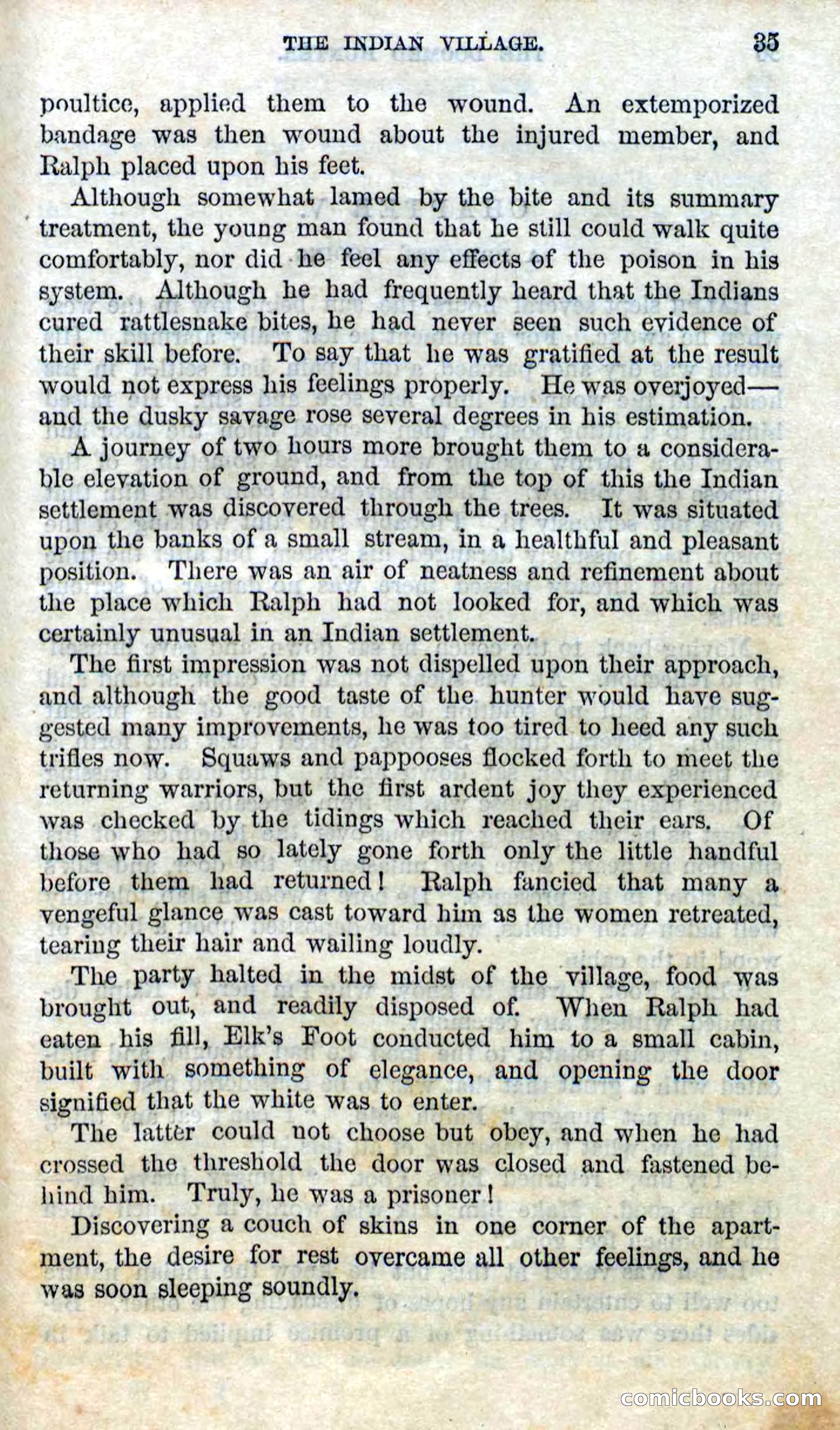 Beadle's Dime Novels No. 97: The Doomed Hunter — page 33 of 100