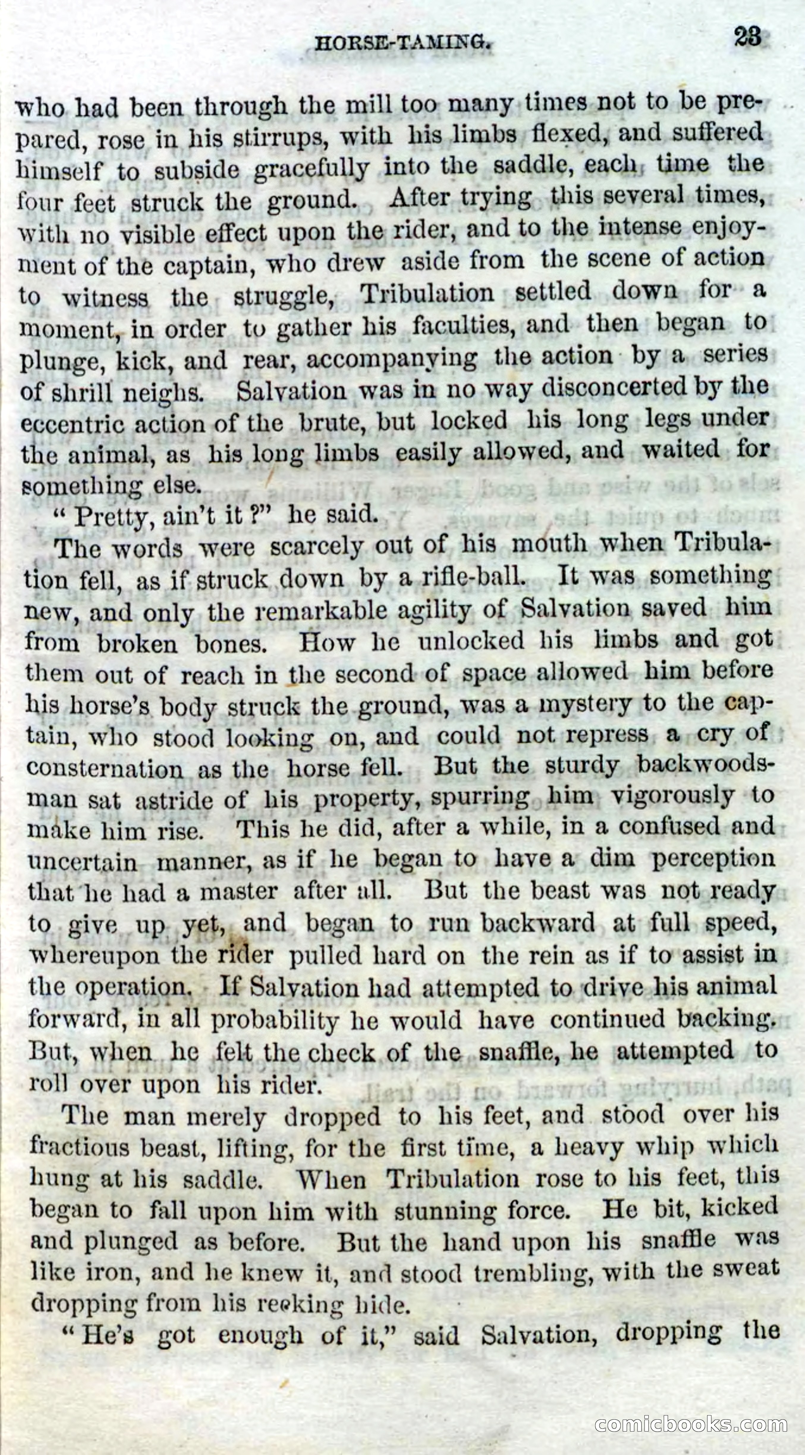 Beadle's Dime Novels No. 98 — page 20 of 96