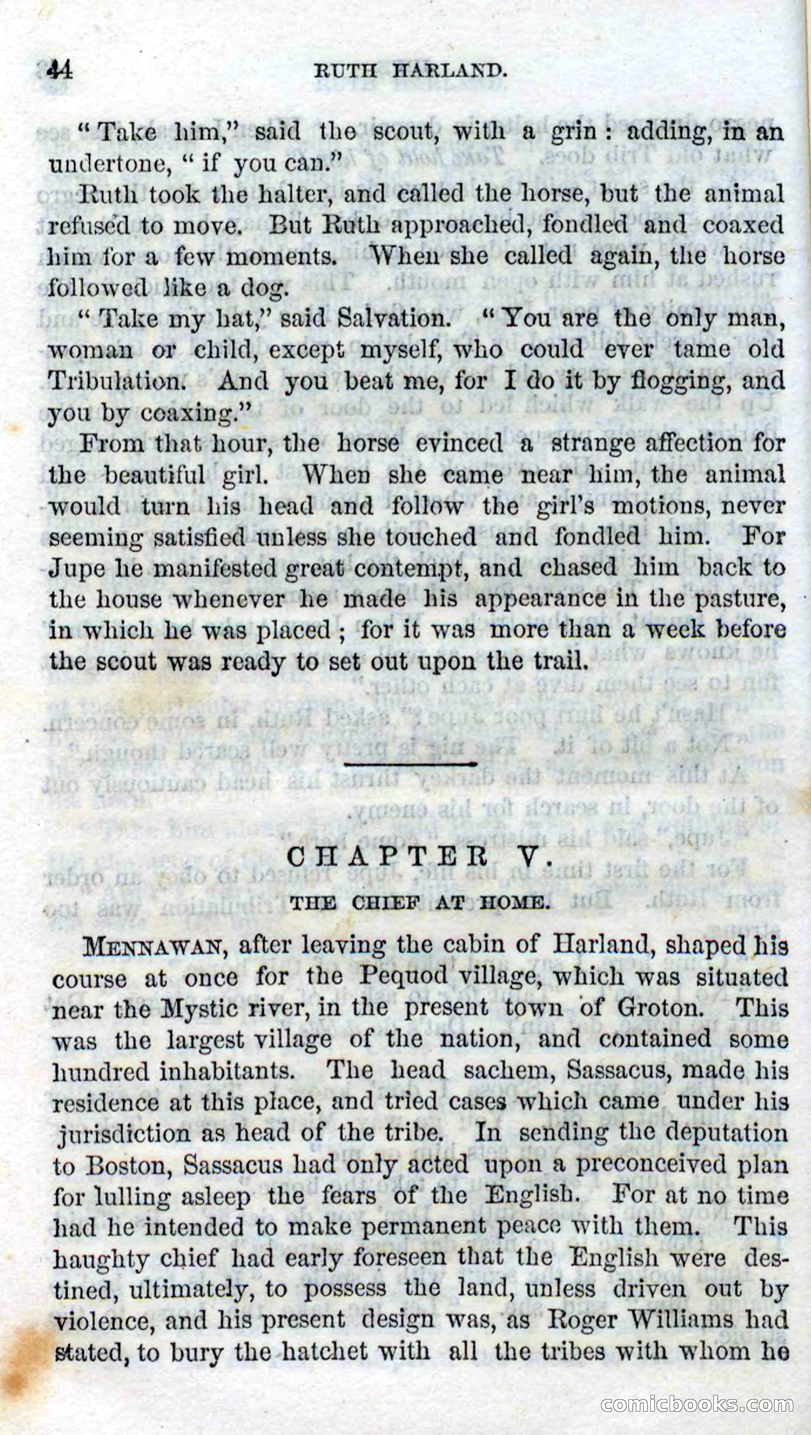 Beadle's Dime Novels No. 98 — page 41 of 96