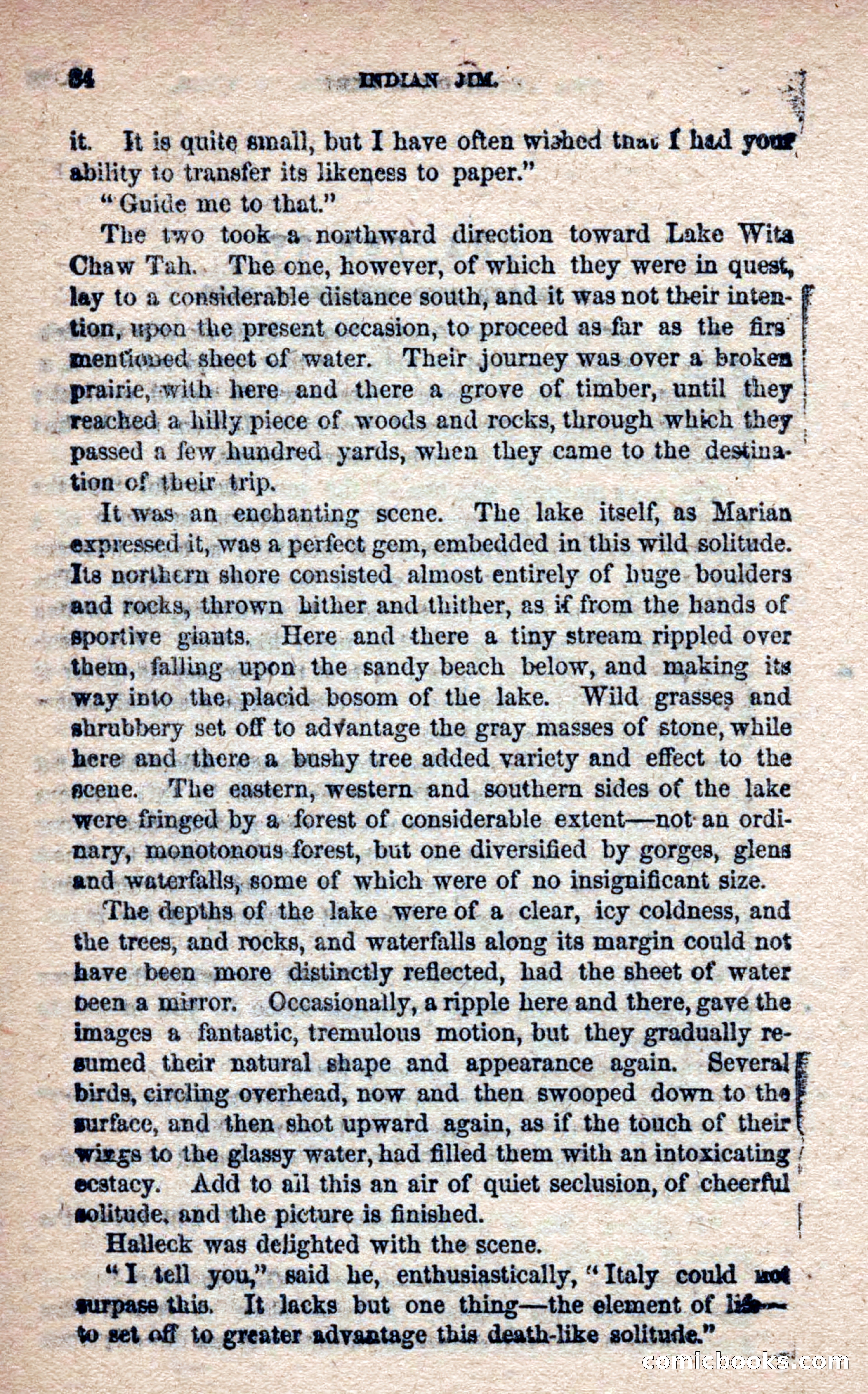 Beadle's Frontier Series #25: Indian Jim—A Tale of the Minnesota Massacre — page 32 of 100