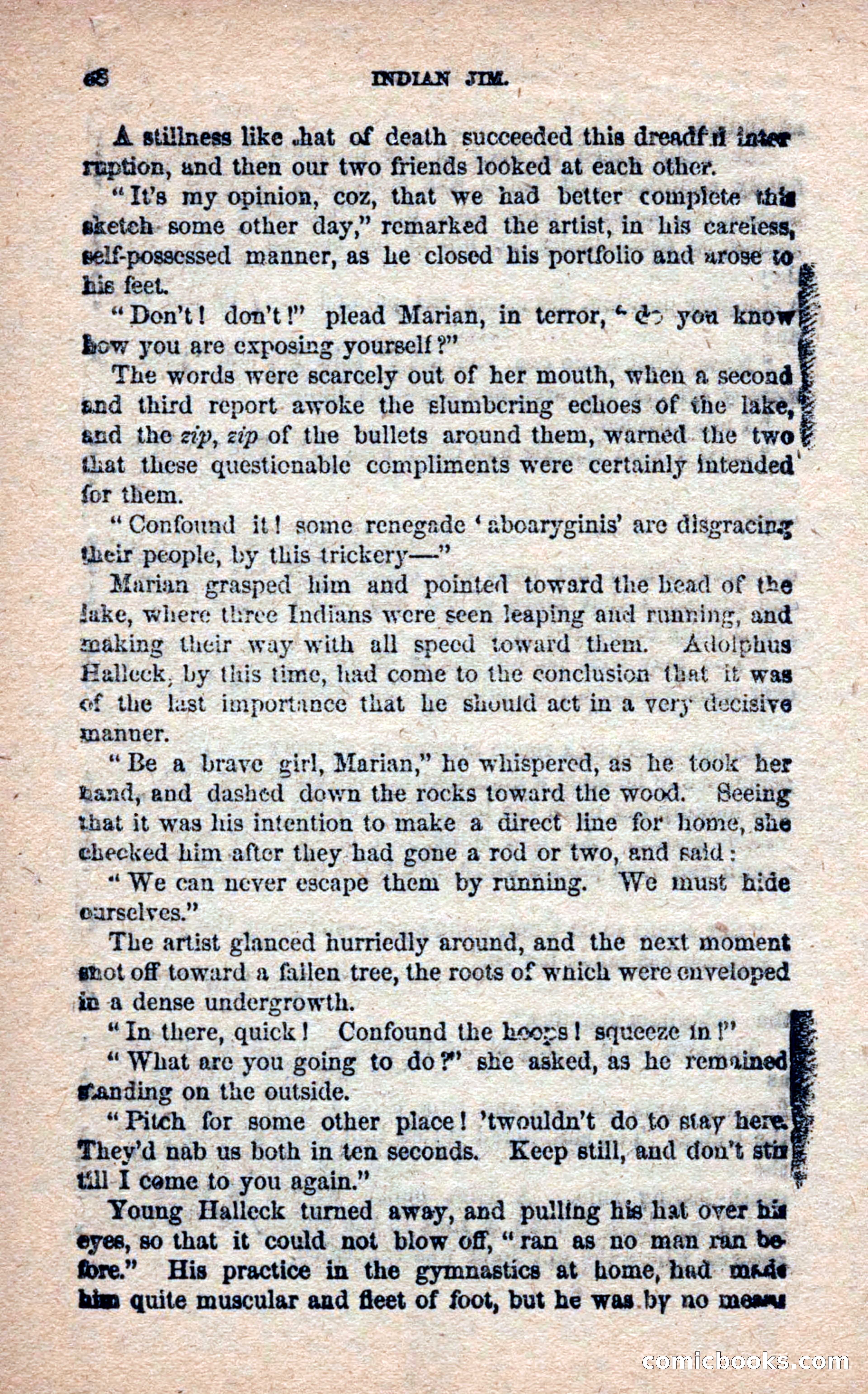 Beadle's Frontier Series #25: Indian Jim—A Tale of the Minnesota Massacre — page 36 of 100