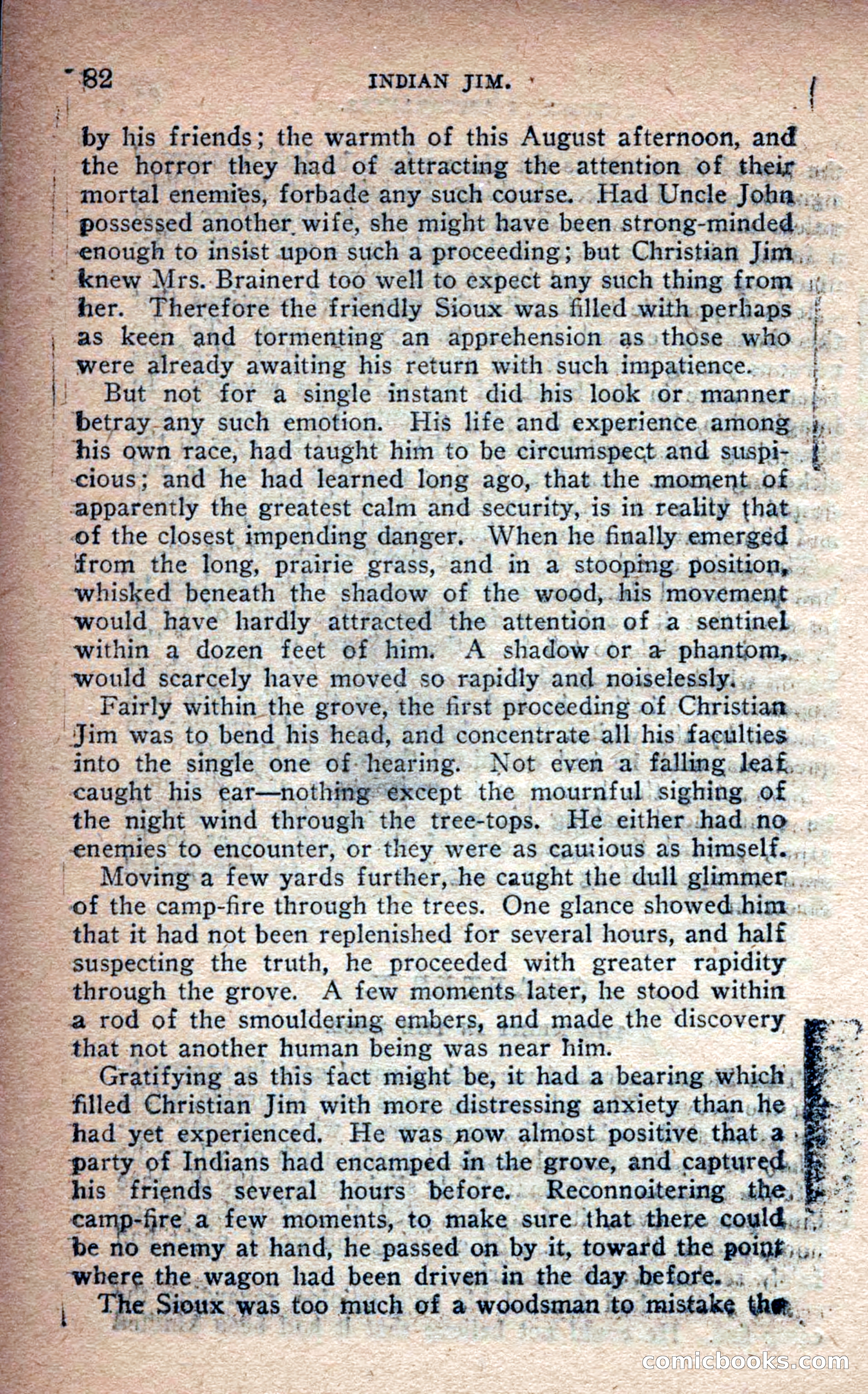 Beadle's Frontier Series #25: Indian Jim—A Tale of the Minnesota Massacre — page 80 of 100