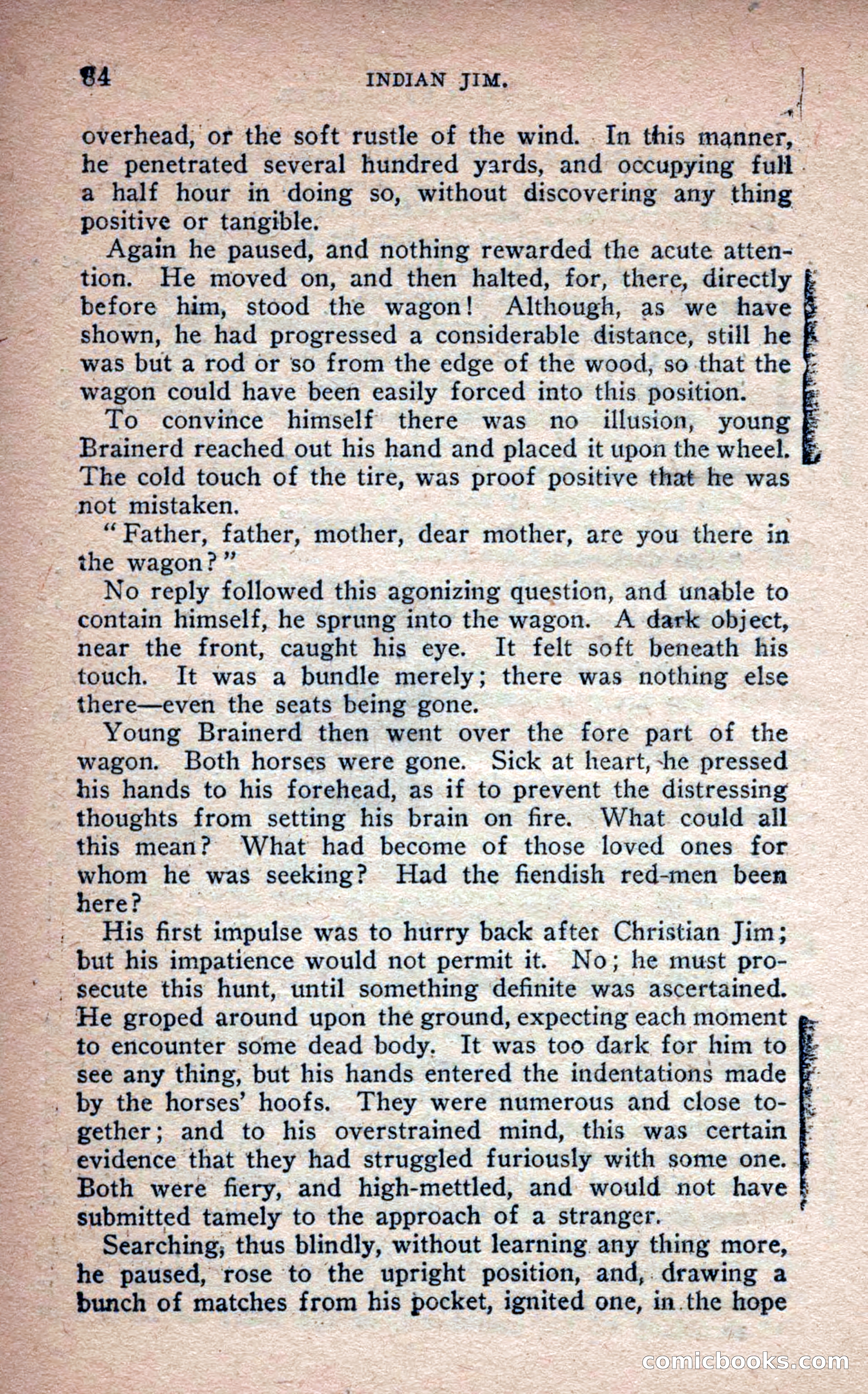 Beadle's Frontier Series #25: Indian Jim—A Tale of the Minnesota Massacre — page 82 of 100