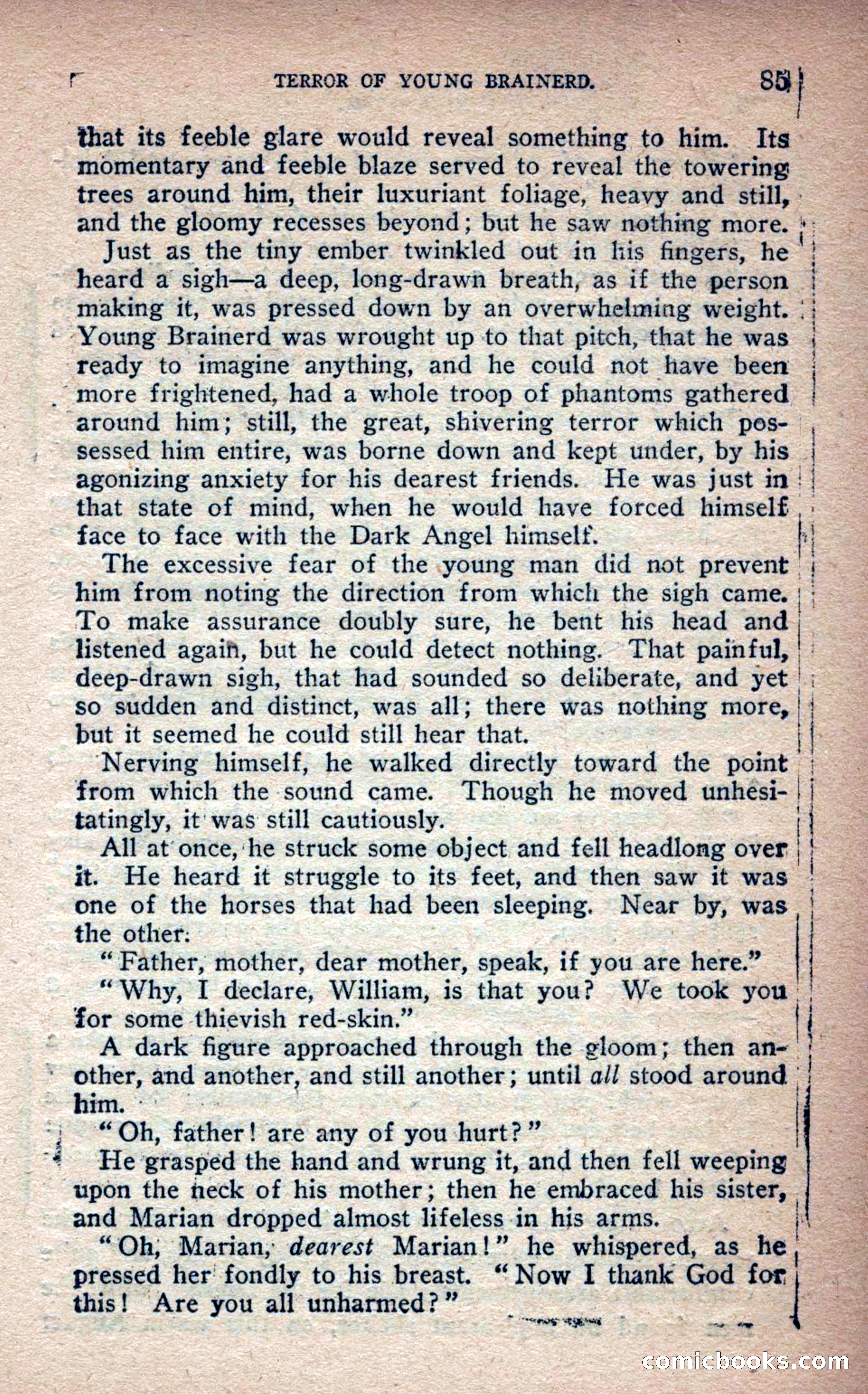 Beadle's Frontier Series #25: Indian Jim—A Tale of the Minnesota Massacre — page 83 of 100