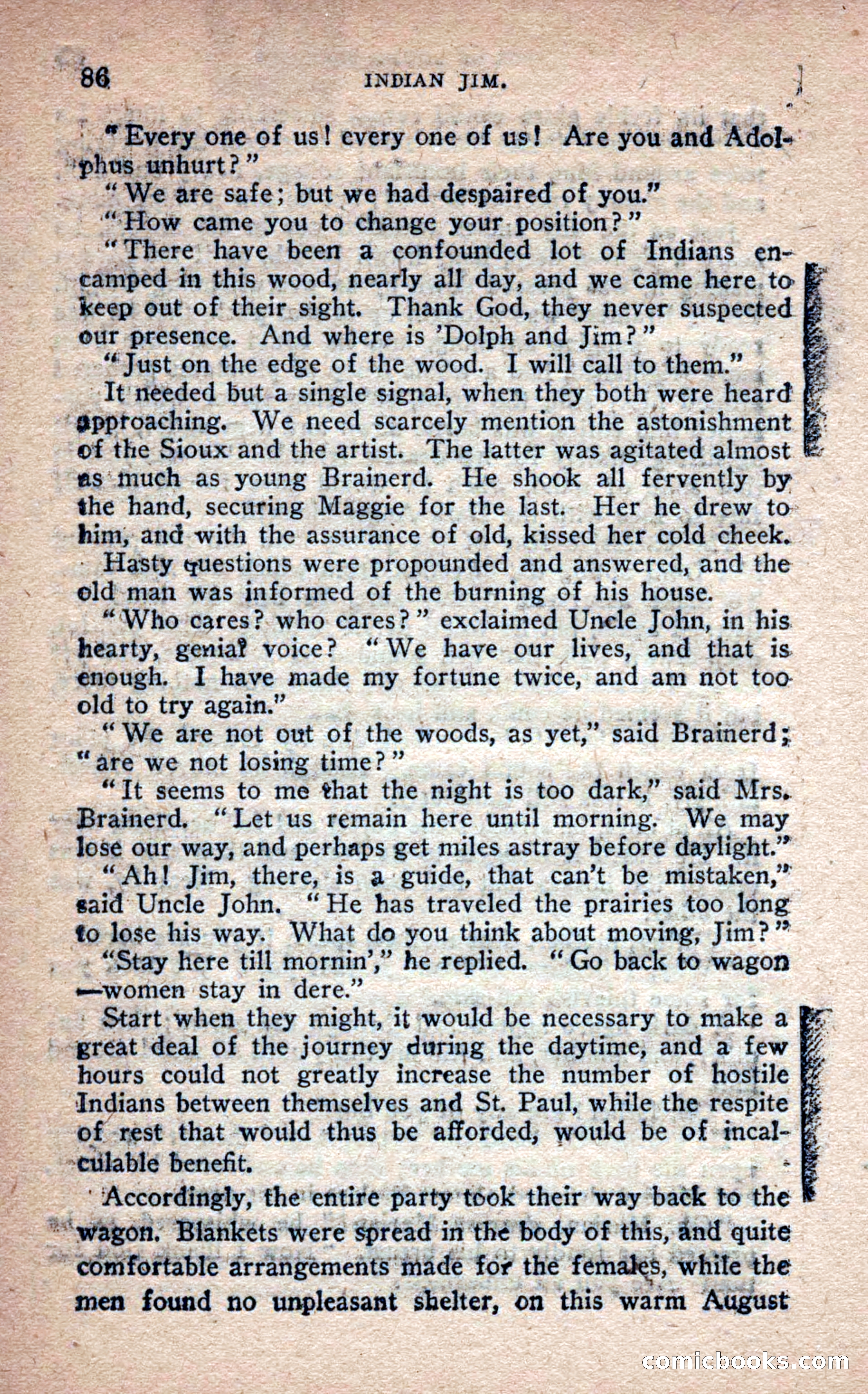 Beadle's Frontier Series #25: Indian Jim—A Tale of the Minnesota Massacre — page 84 of 100