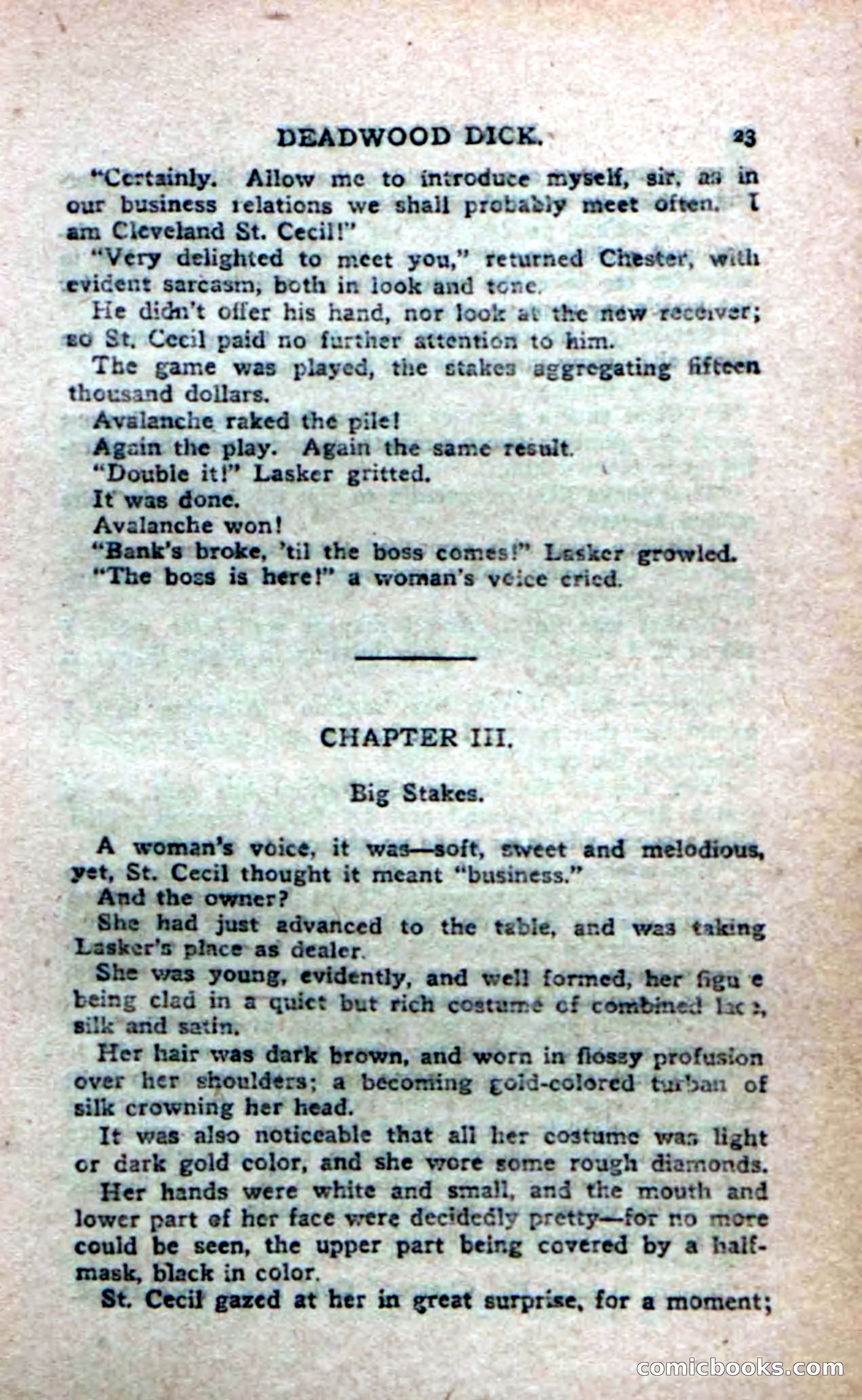 Deadwood Dick's Big Deal; or, The Gold Brick of Oregon — page 21 of 100