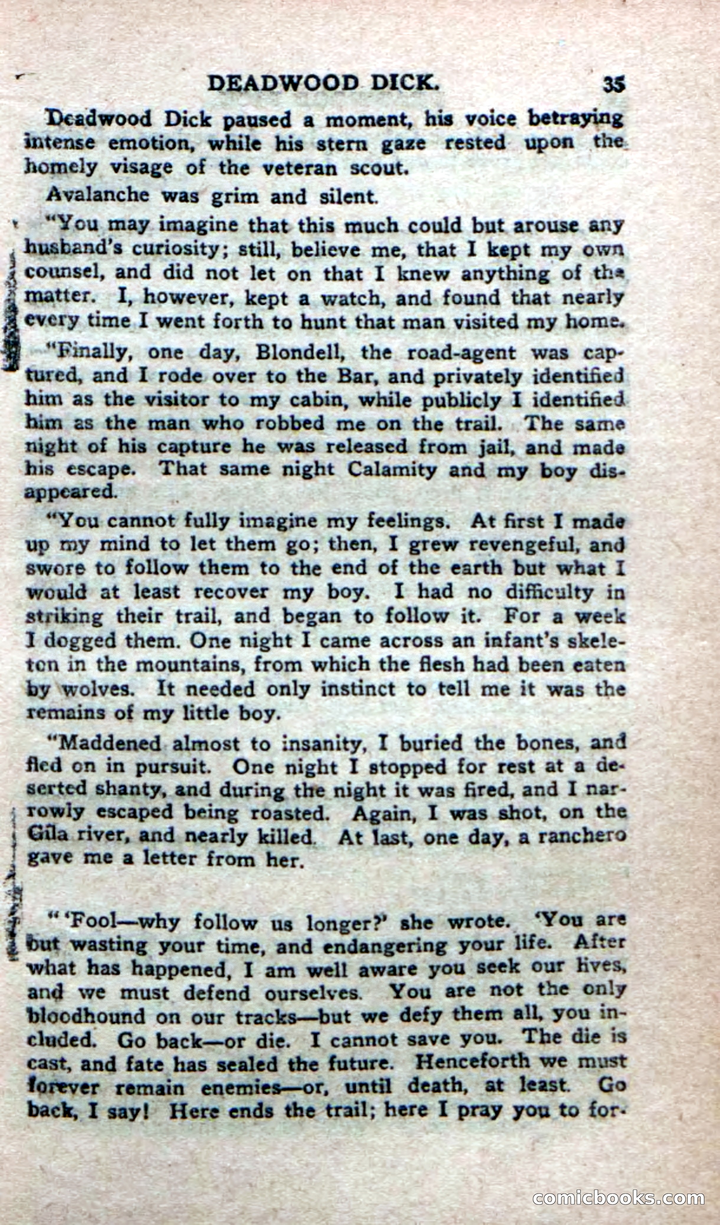 Deadwood Dick's Big Deal; or, The Gold Brick of Oregon — page 33 of 100