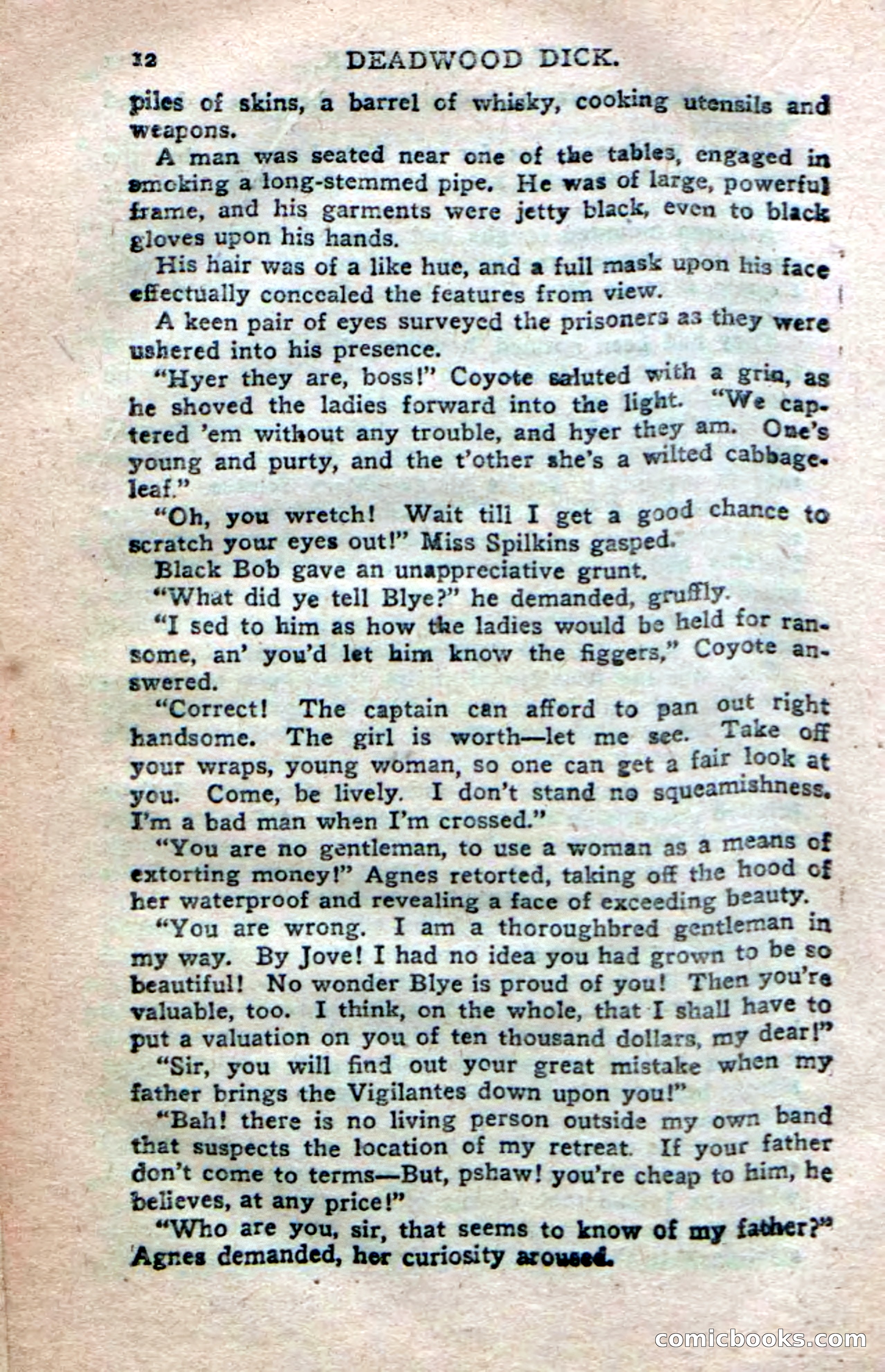 Deadwood Dick's Dozen; or The Fakir of Phantom Flats — page 10 of 100