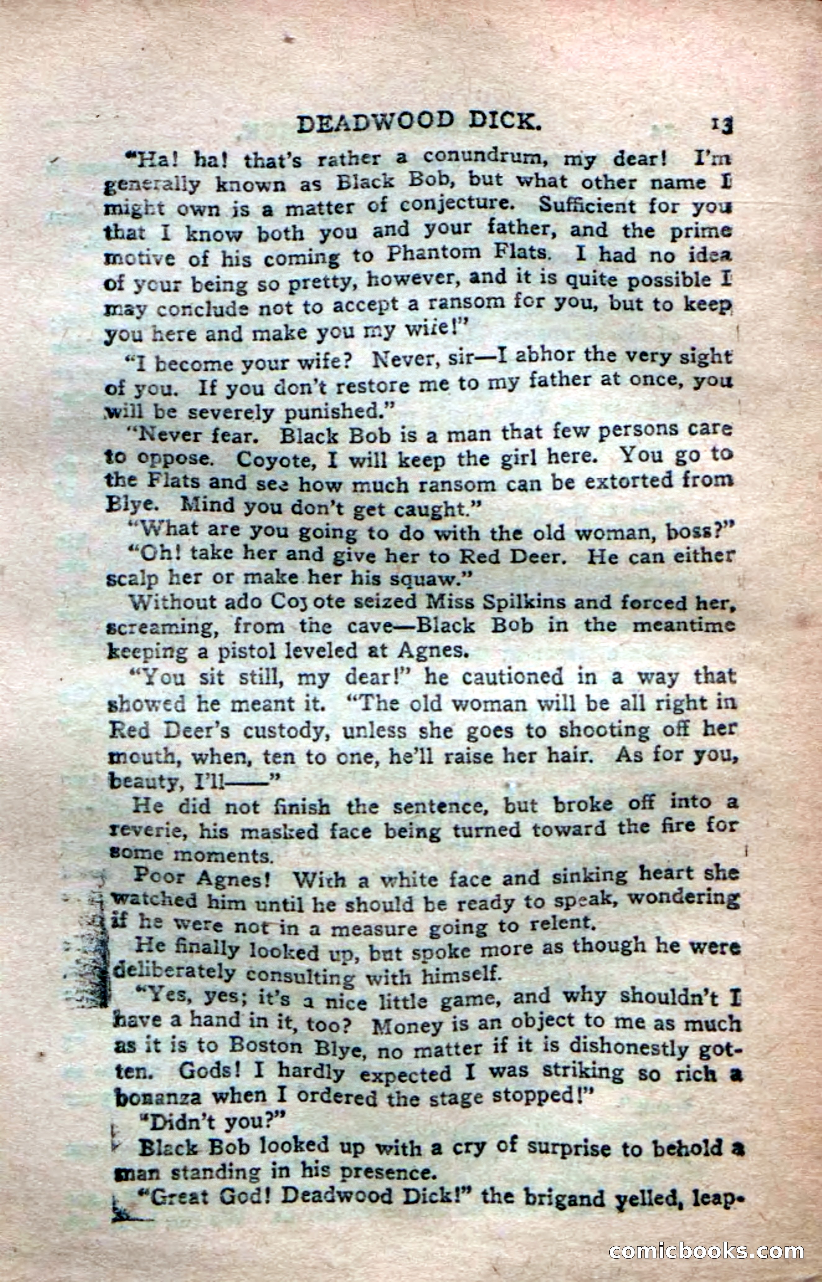 Deadwood Dick's Dozen; or The Fakir of Phantom Flats — page 11 of 100