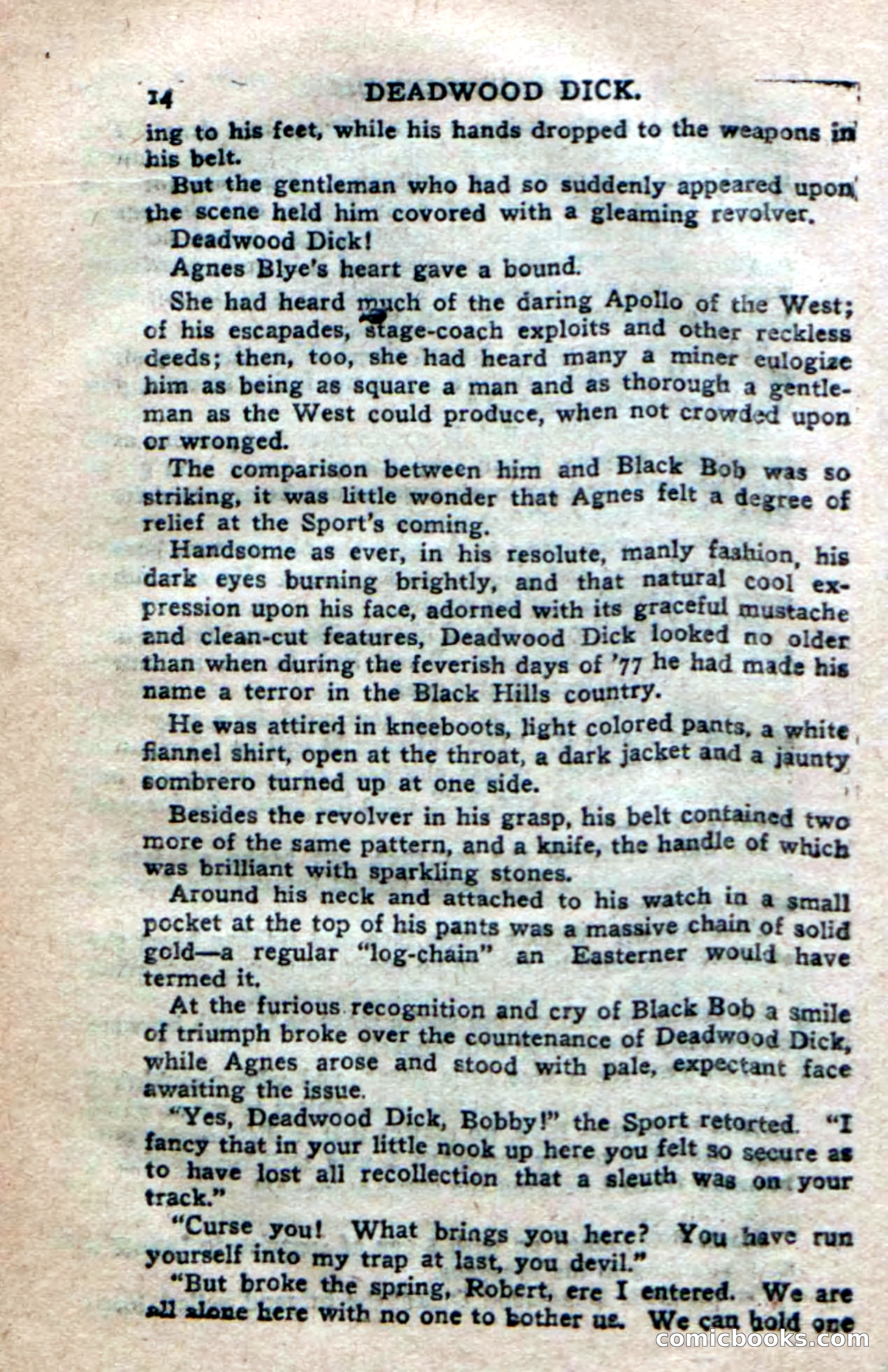 Deadwood Dick's Dozen; or The Fakir of Phantom Flats — page 12 of 100