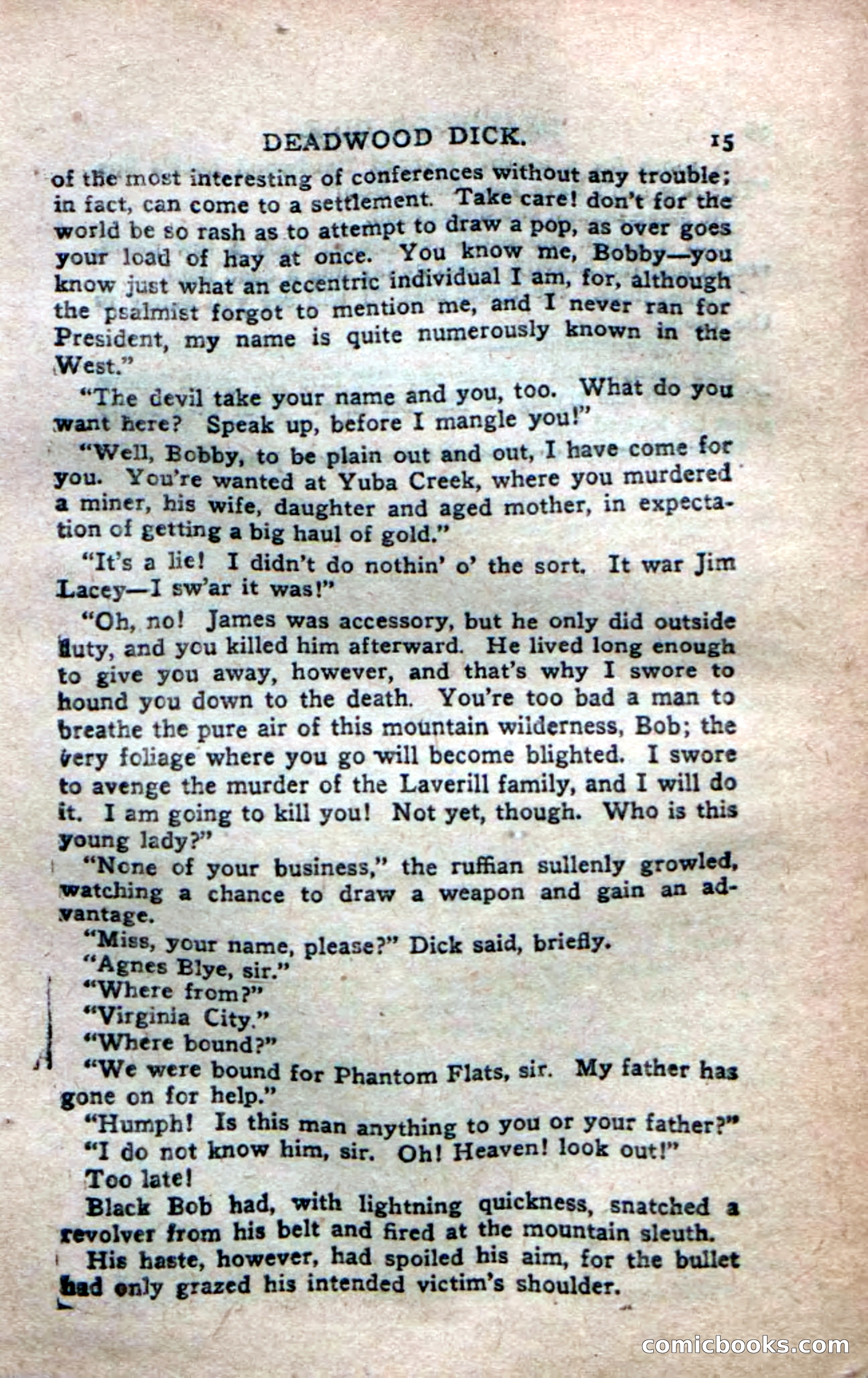 Deadwood Dick's Dozen; or The Fakir of Phantom Flats — page 13 of 100