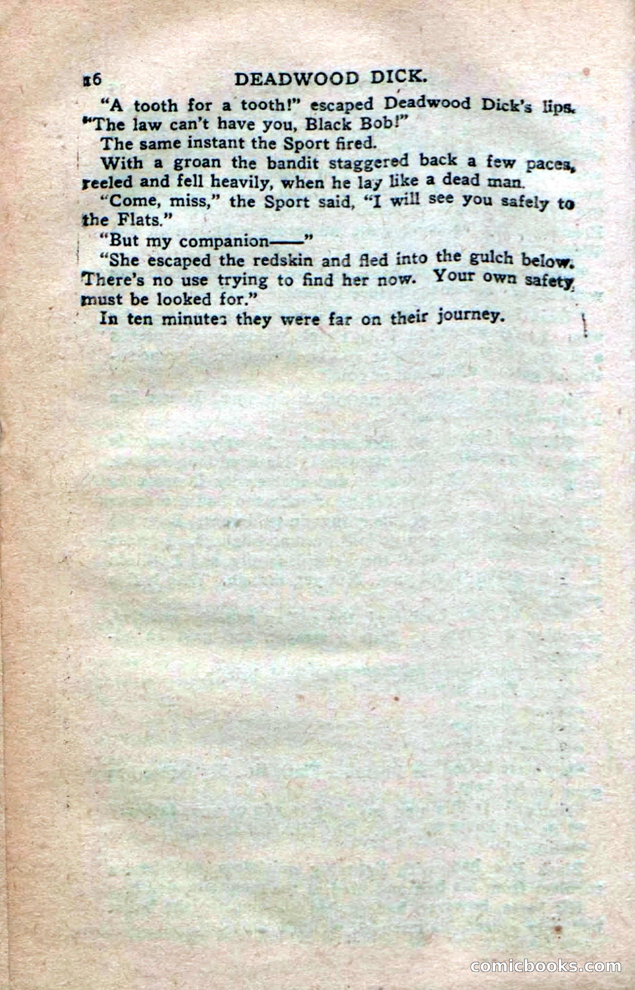 Deadwood Dick's Dozen; or The Fakir of Phantom Flats — page 14 of 100