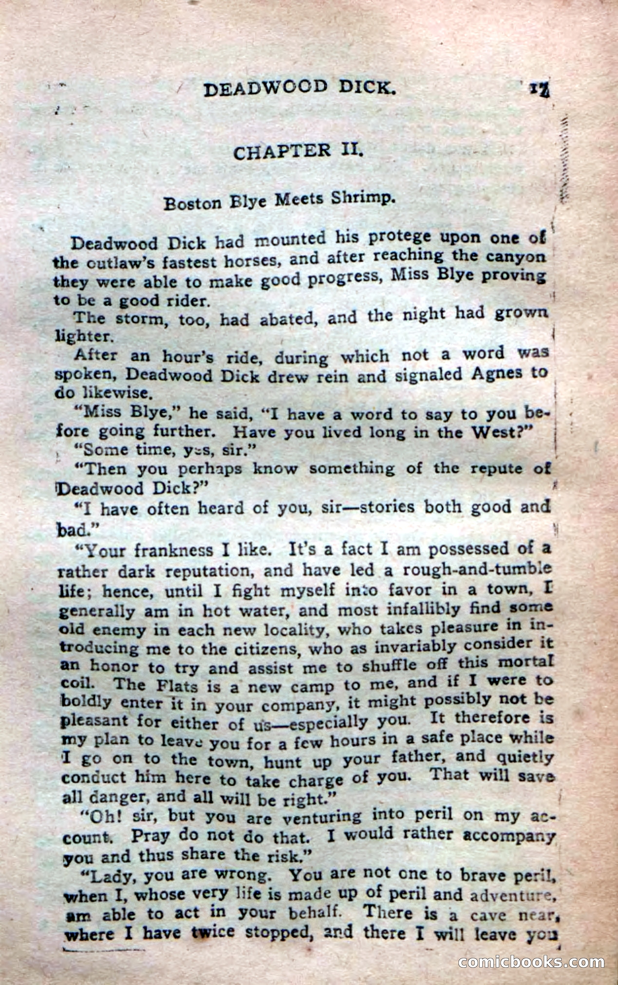 Deadwood Dick's Dozen; or The Fakir of Phantom Flats — page 15 of 100
