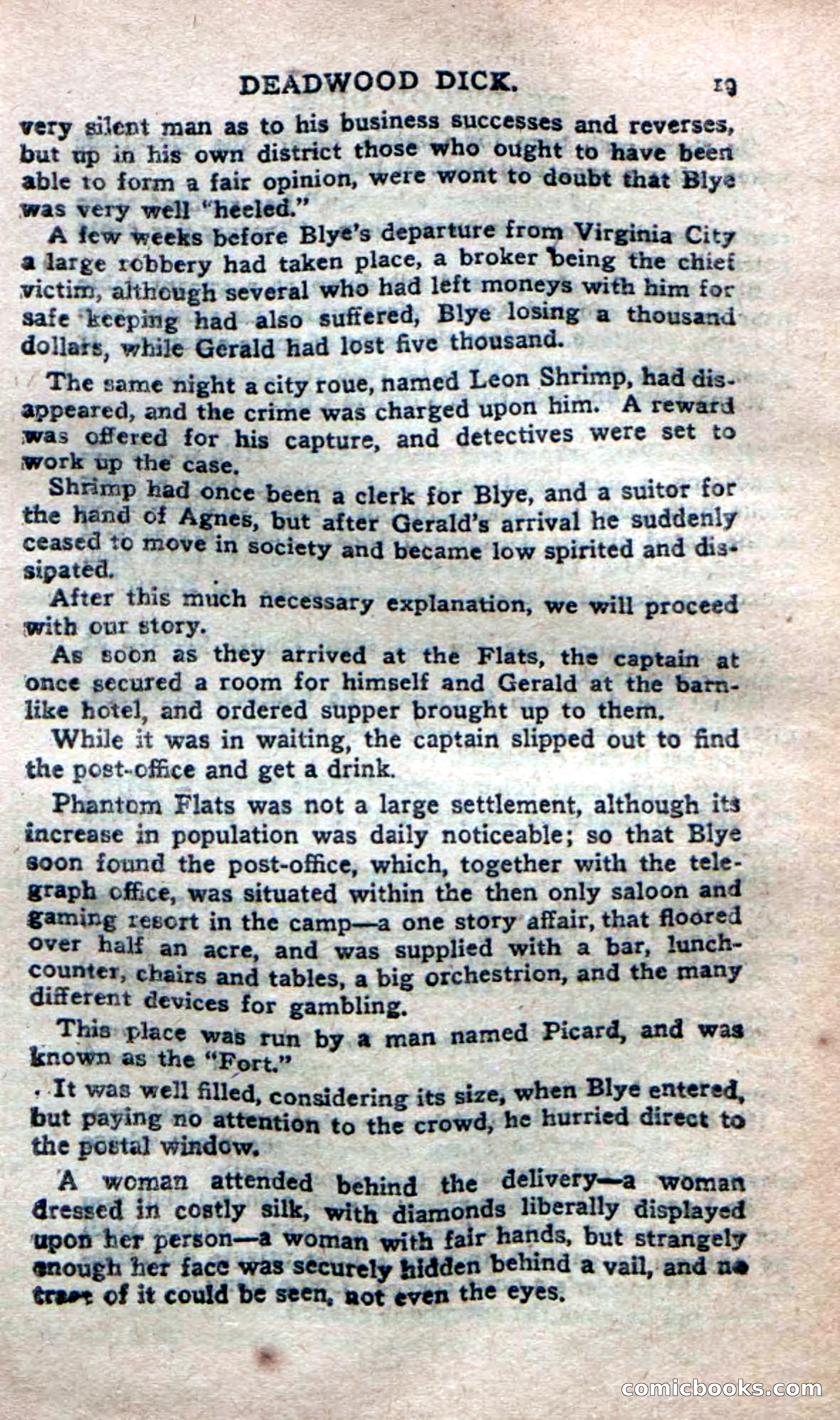 Deadwood Dick's Dozen; or The Fakir of Phantom Flats — page 17 of 100