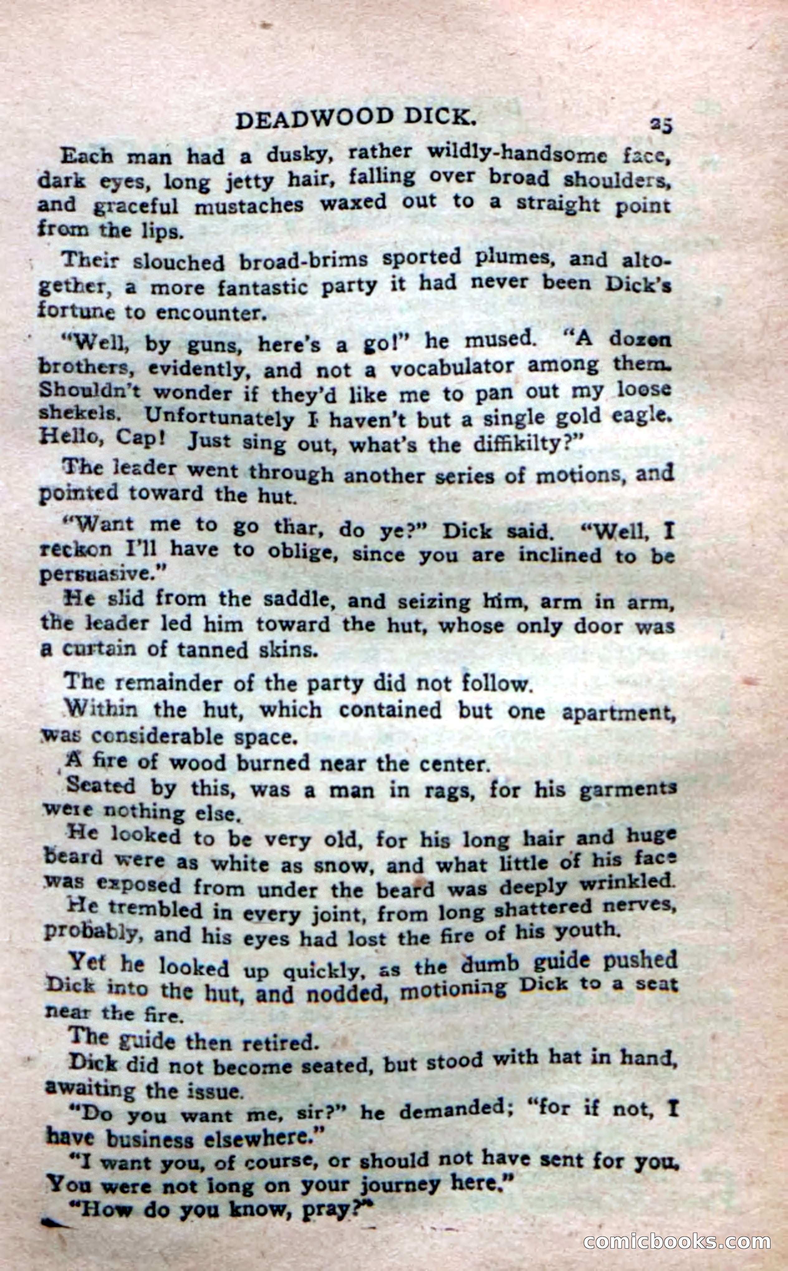 Deadwood Dick's Dozen; or The Fakir of Phantom Flats — page 23 of 100