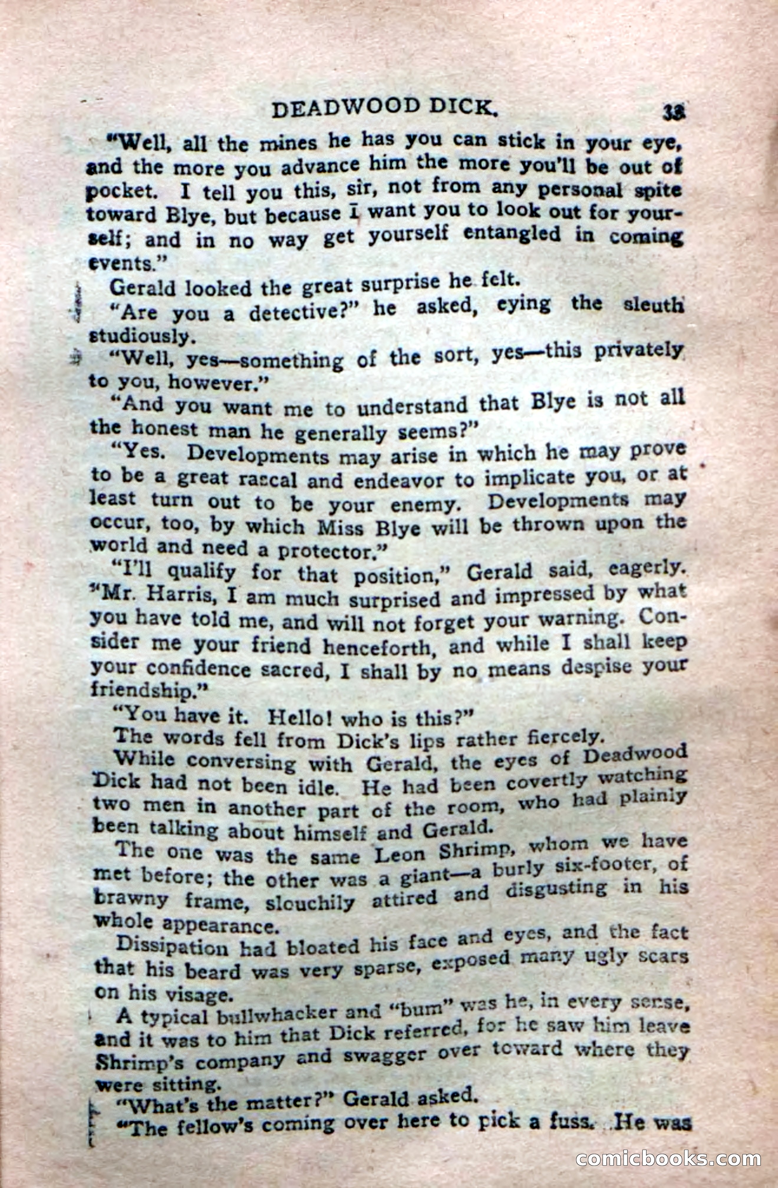 Deadwood Dick's Dozen; or The Fakir of Phantom Flats — page 31 of 100