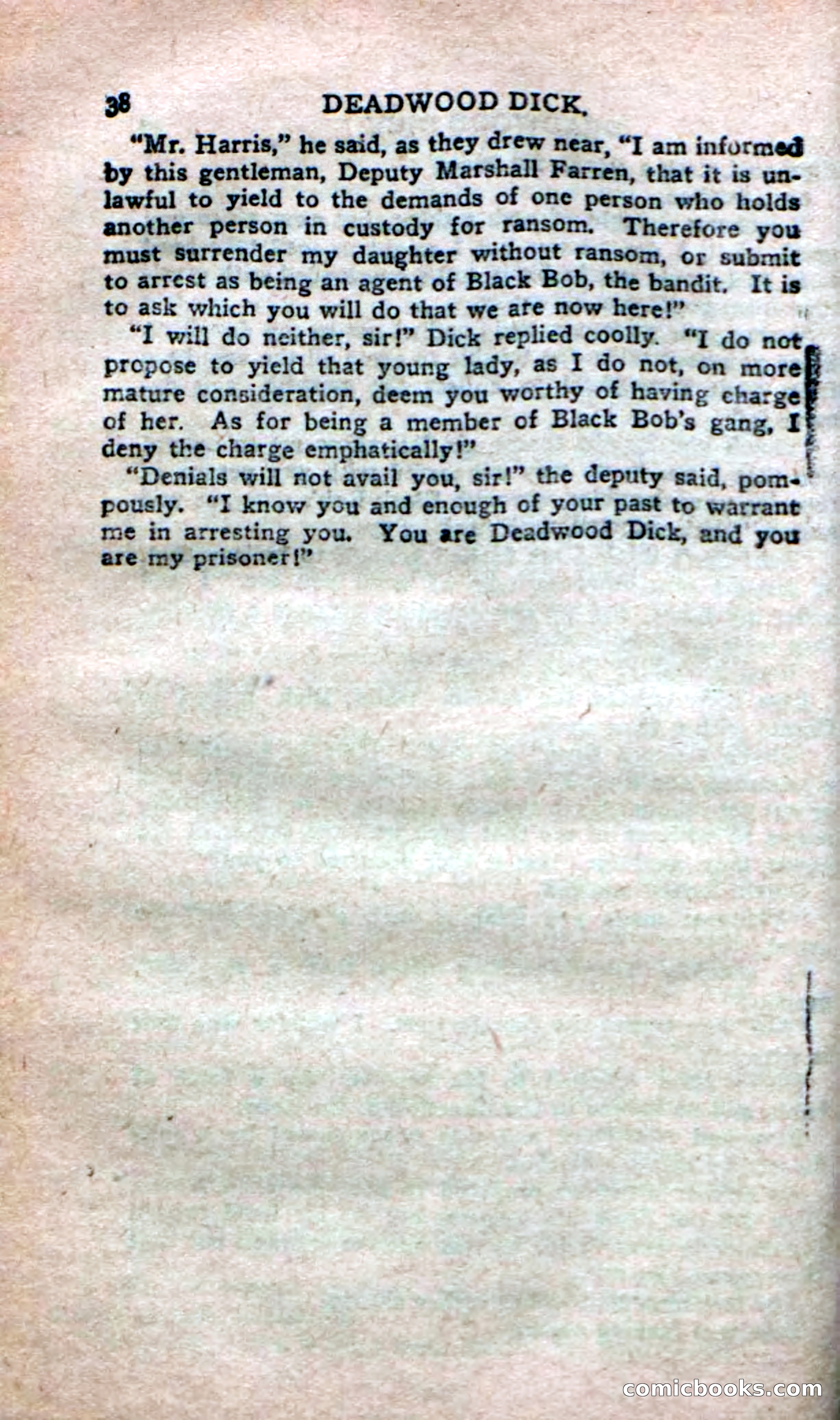 Deadwood Dick's Dozen; or The Fakir of Phantom Flats — page 36 of 100
