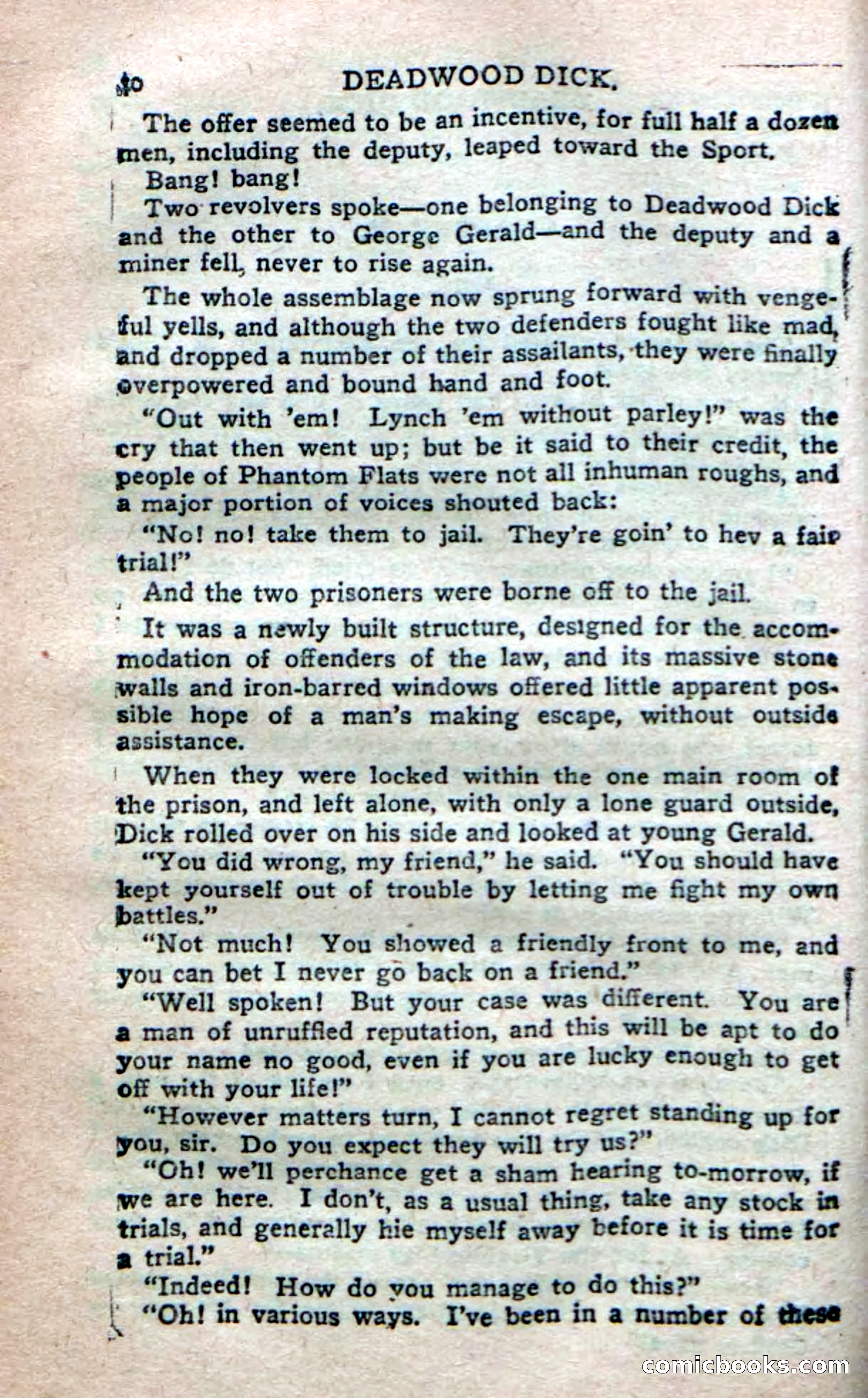 Deadwood Dick's Dozen; or The Fakir of Phantom Flats — page 38 of 100