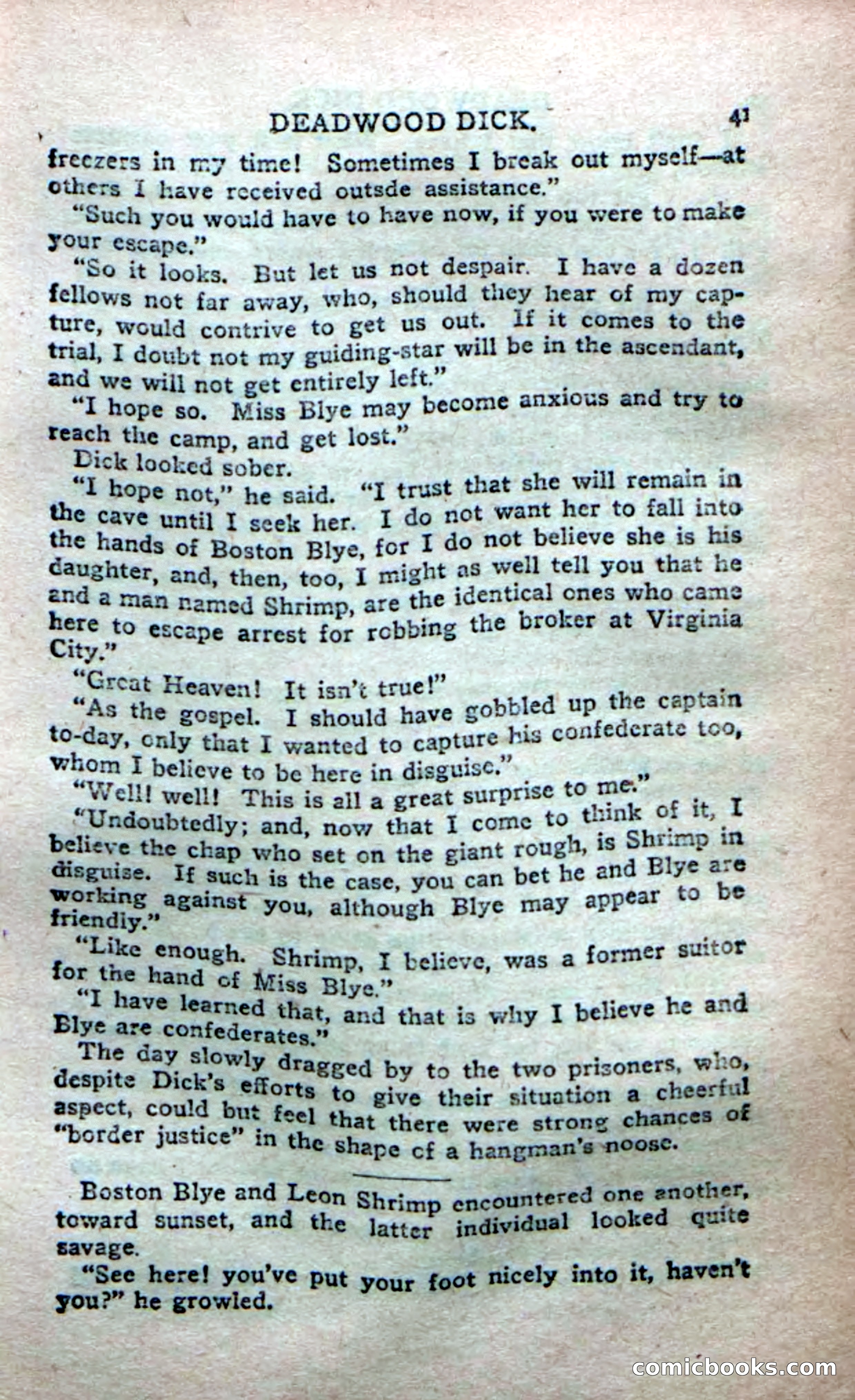 Deadwood Dick's Dozen; or The Fakir of Phantom Flats — page 39 of 100