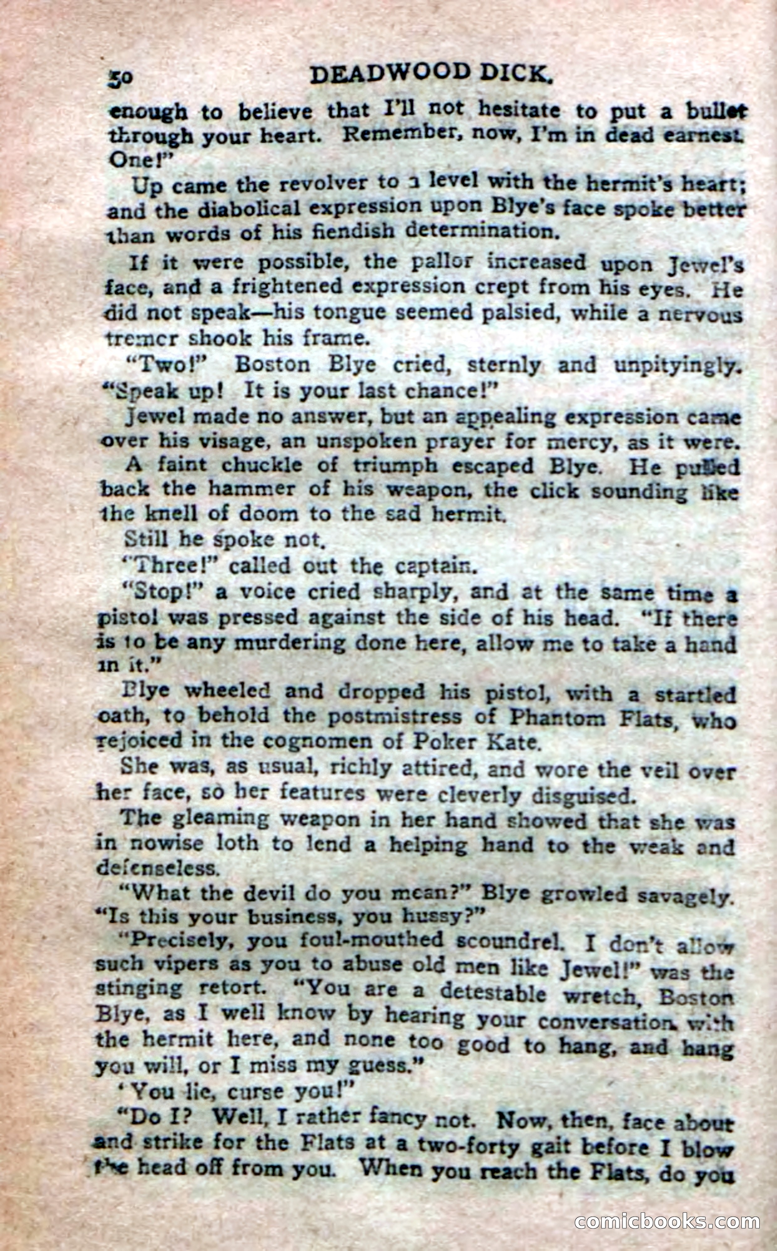 Deadwood Dick's Dozen; or The Fakir of Phantom Flats — page 48 of 100
