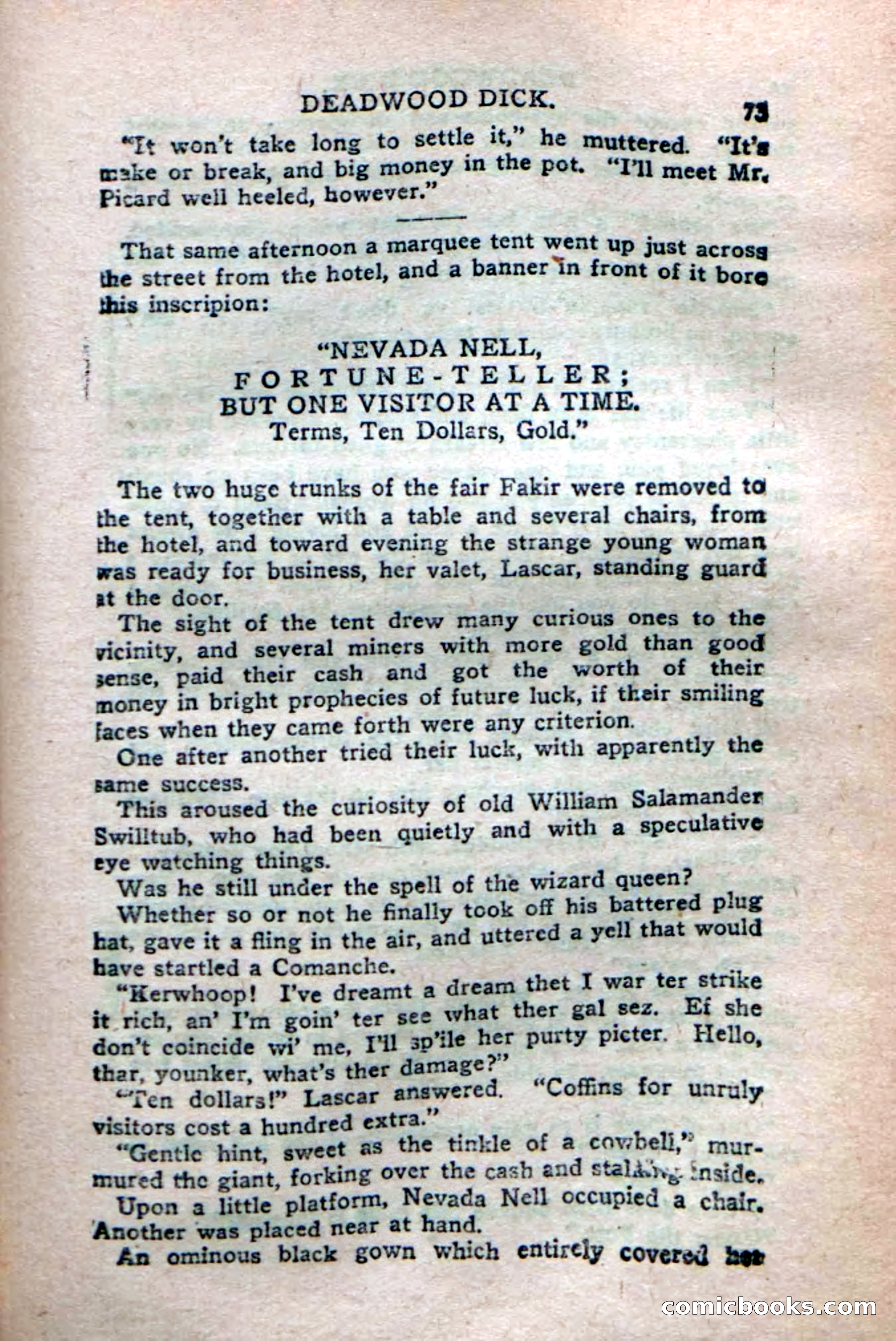 Deadwood Dick's Dozen; or The Fakir of Phantom Flats — page 71 of 100