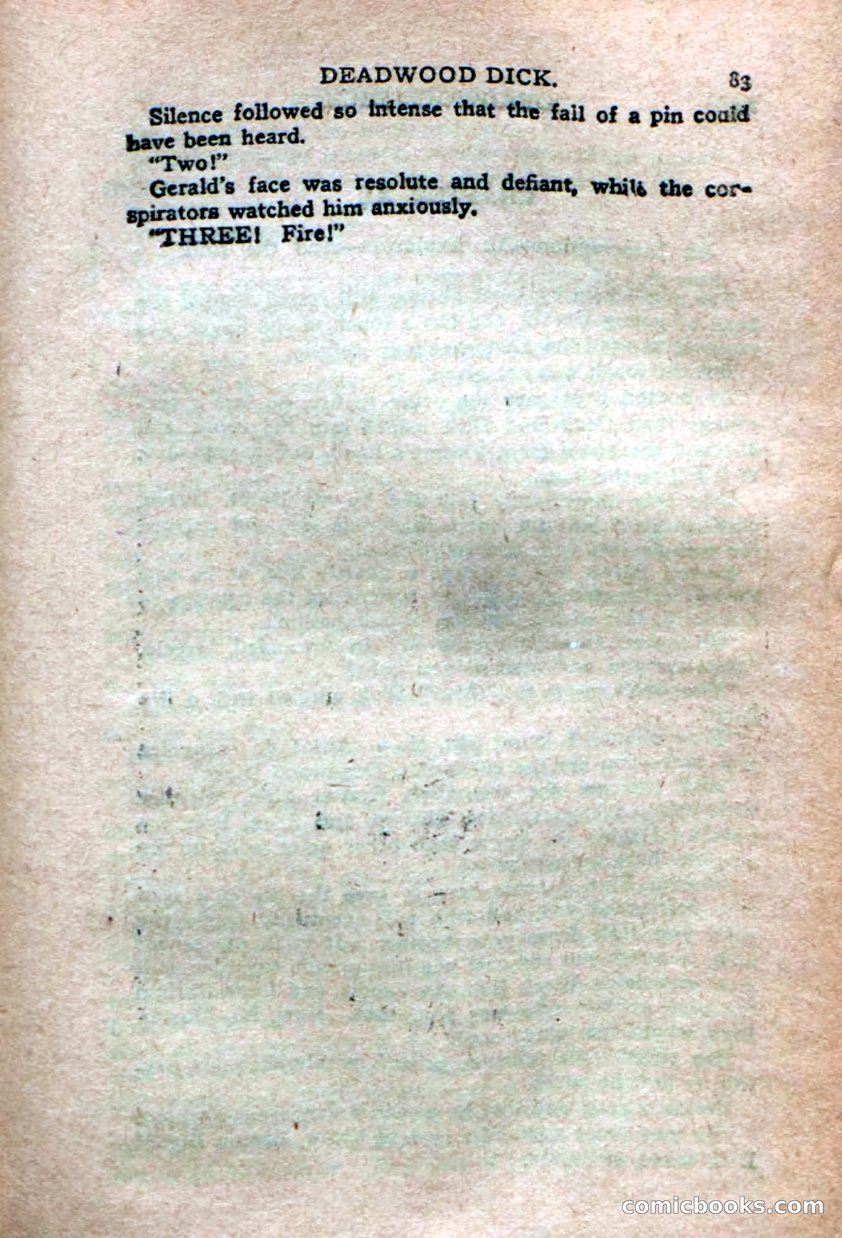 Deadwood Dick's Dozen; or The Fakir of Phantom Flats — page 81 of 100